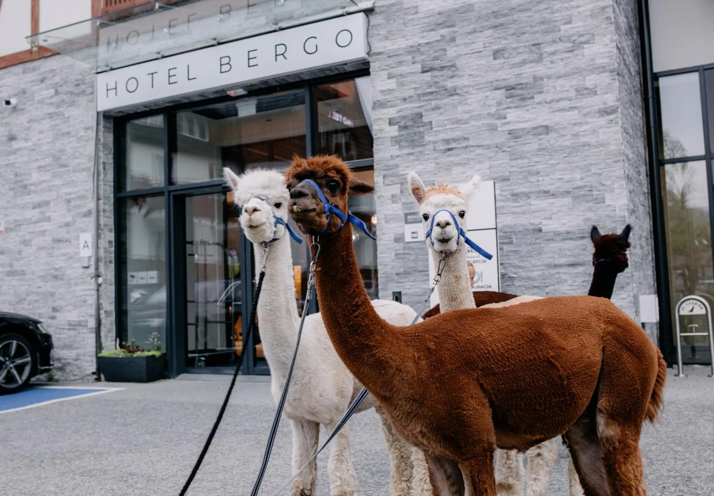 Property building in Hotel Bergo Resort & SPA