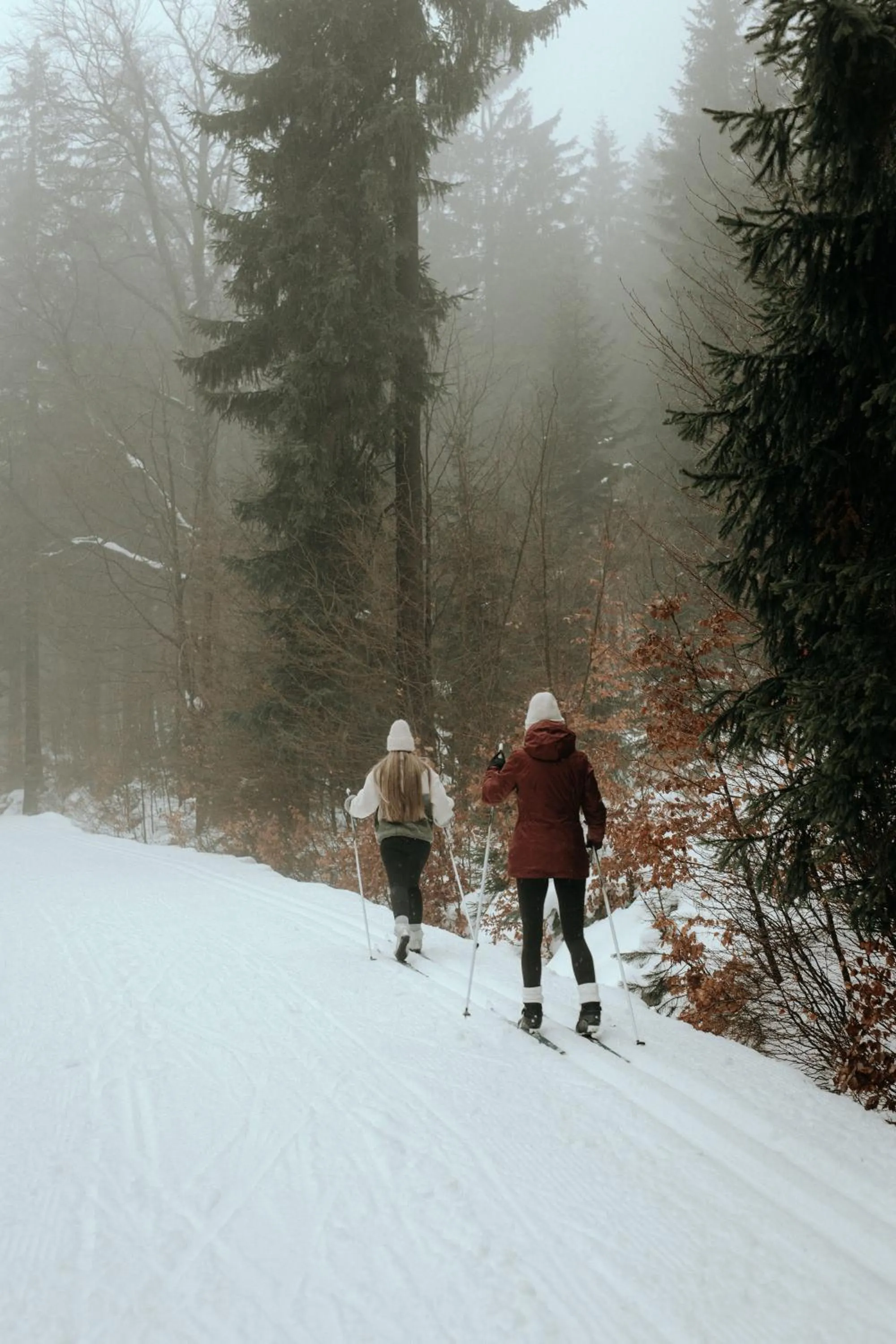 Day in Hotel Bergo Resort & SPA