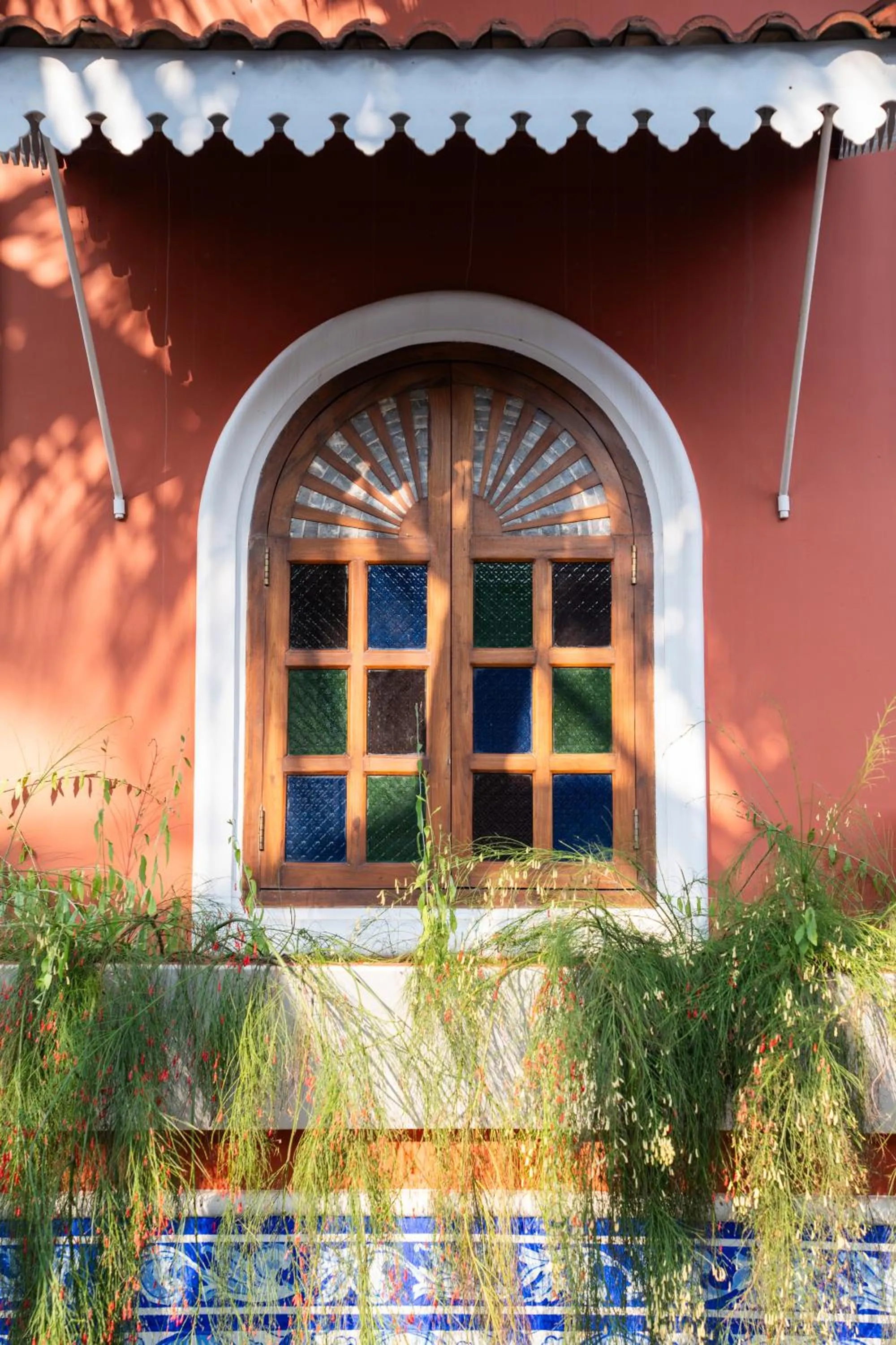 Garden in Casa Albuquerque