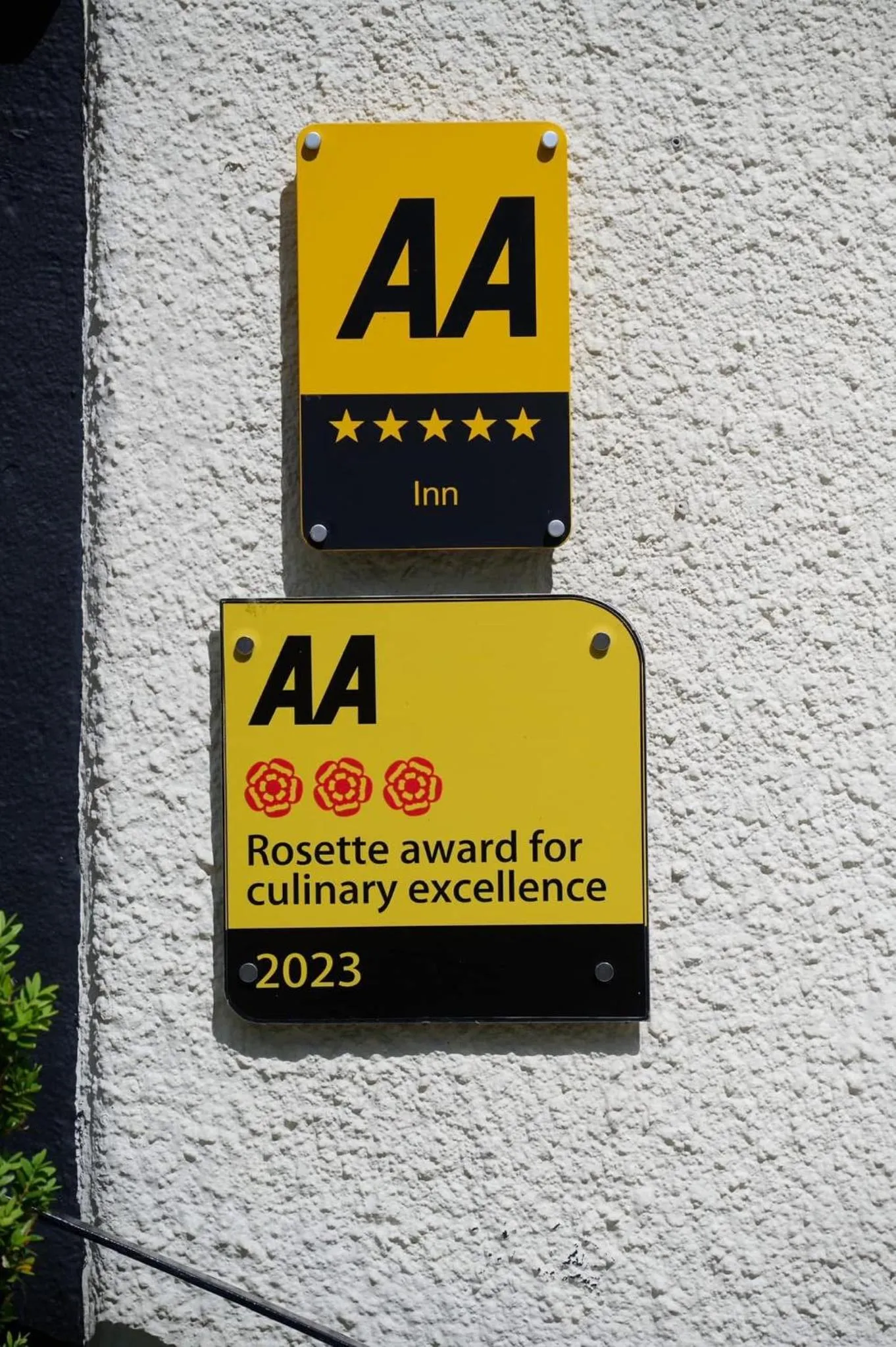 Certificate/Award in Bulls Head - Holymoorside