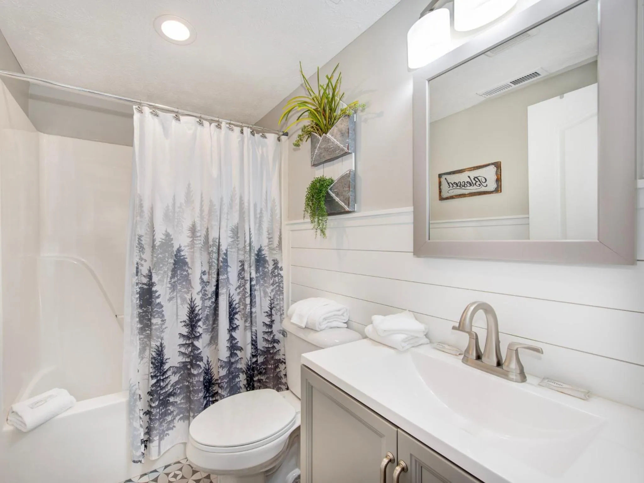 Bathroom in Lazy Bears Den 2103