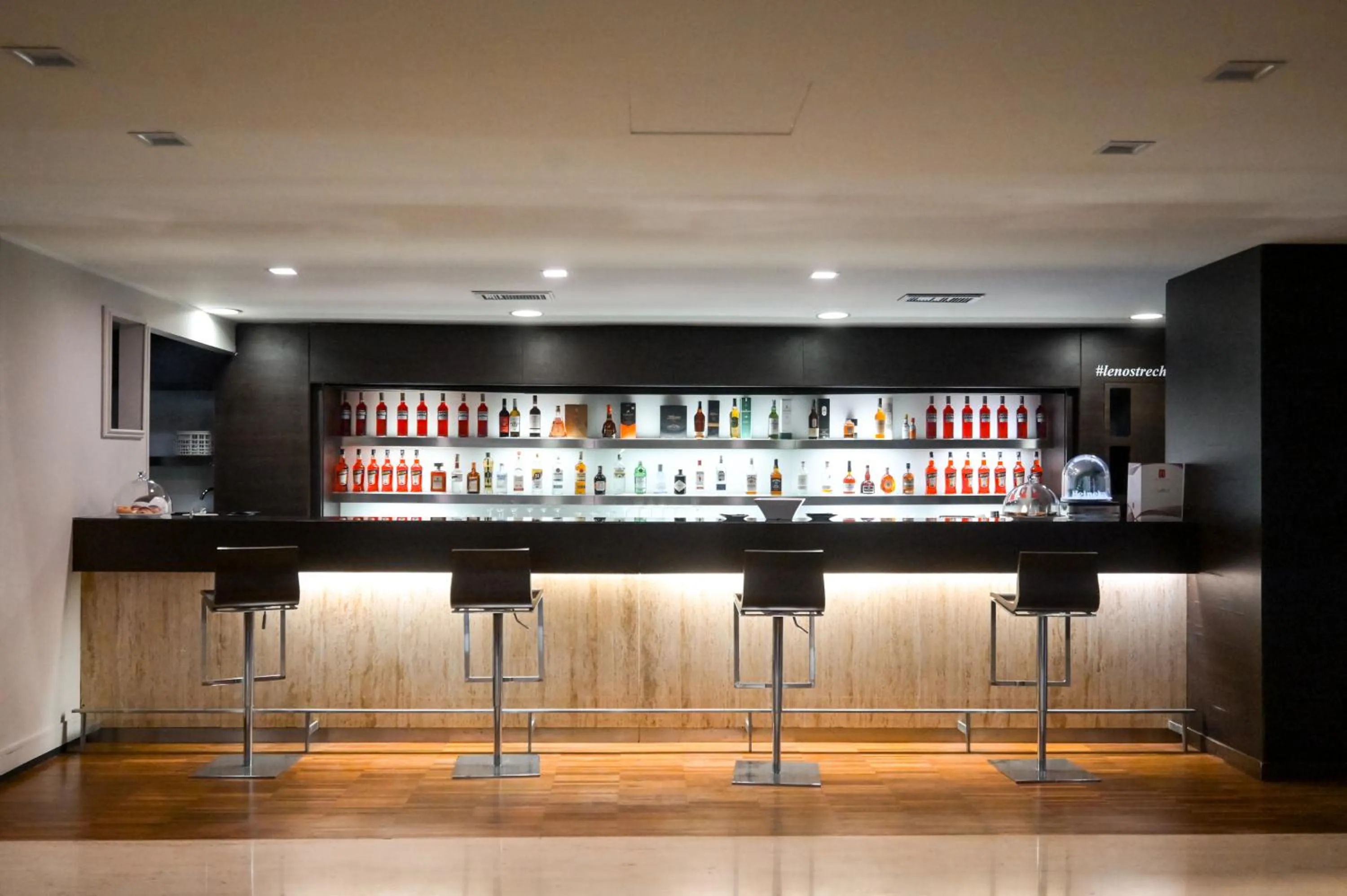 Lounge or bar in Hotel Selene Pomezia