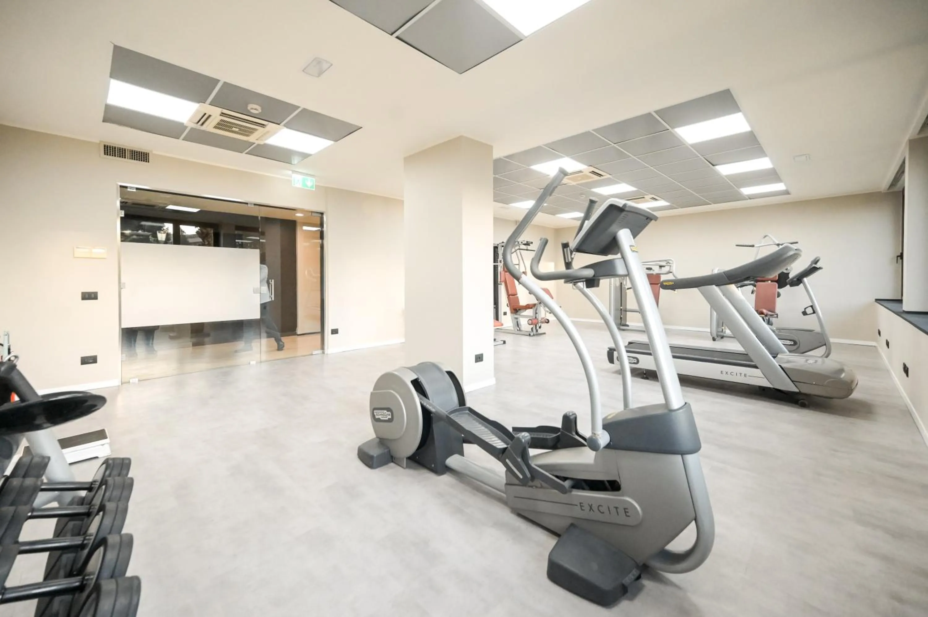 Fitness centre/facilities in Hotel Selene Pomezia