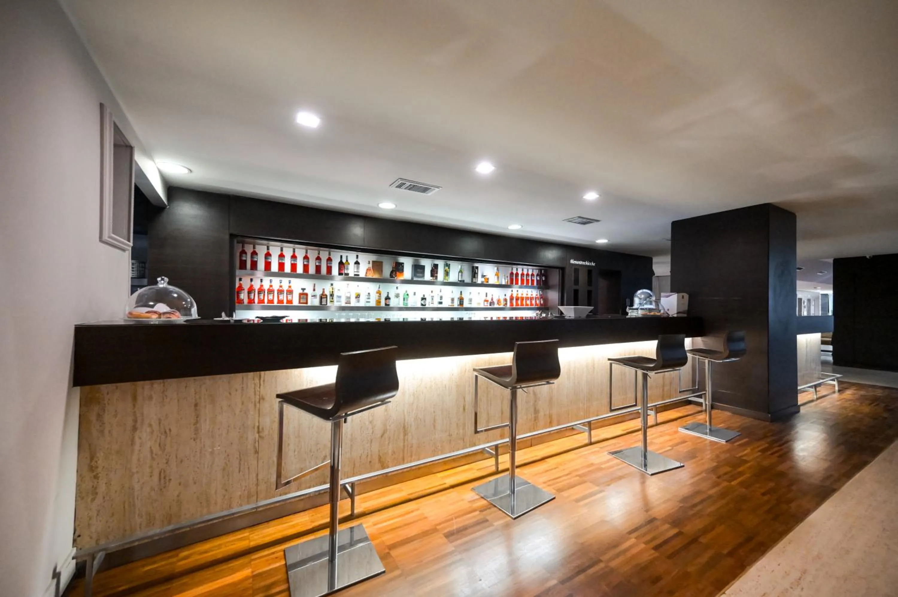 Lounge or bar in Hotel Selene Pomezia