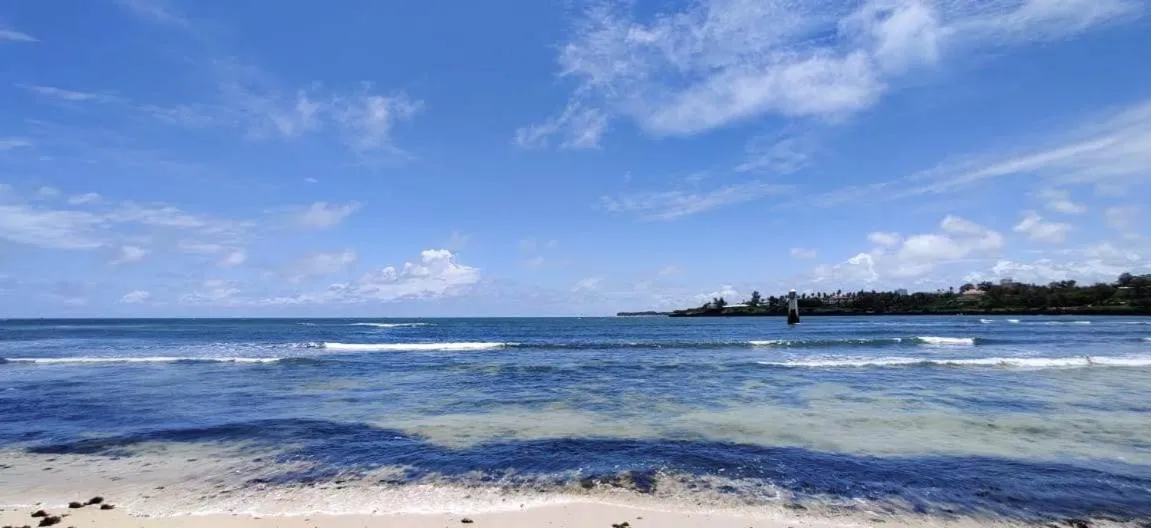 Natural landscape in English Point Residence Beach Apartments Mombasa