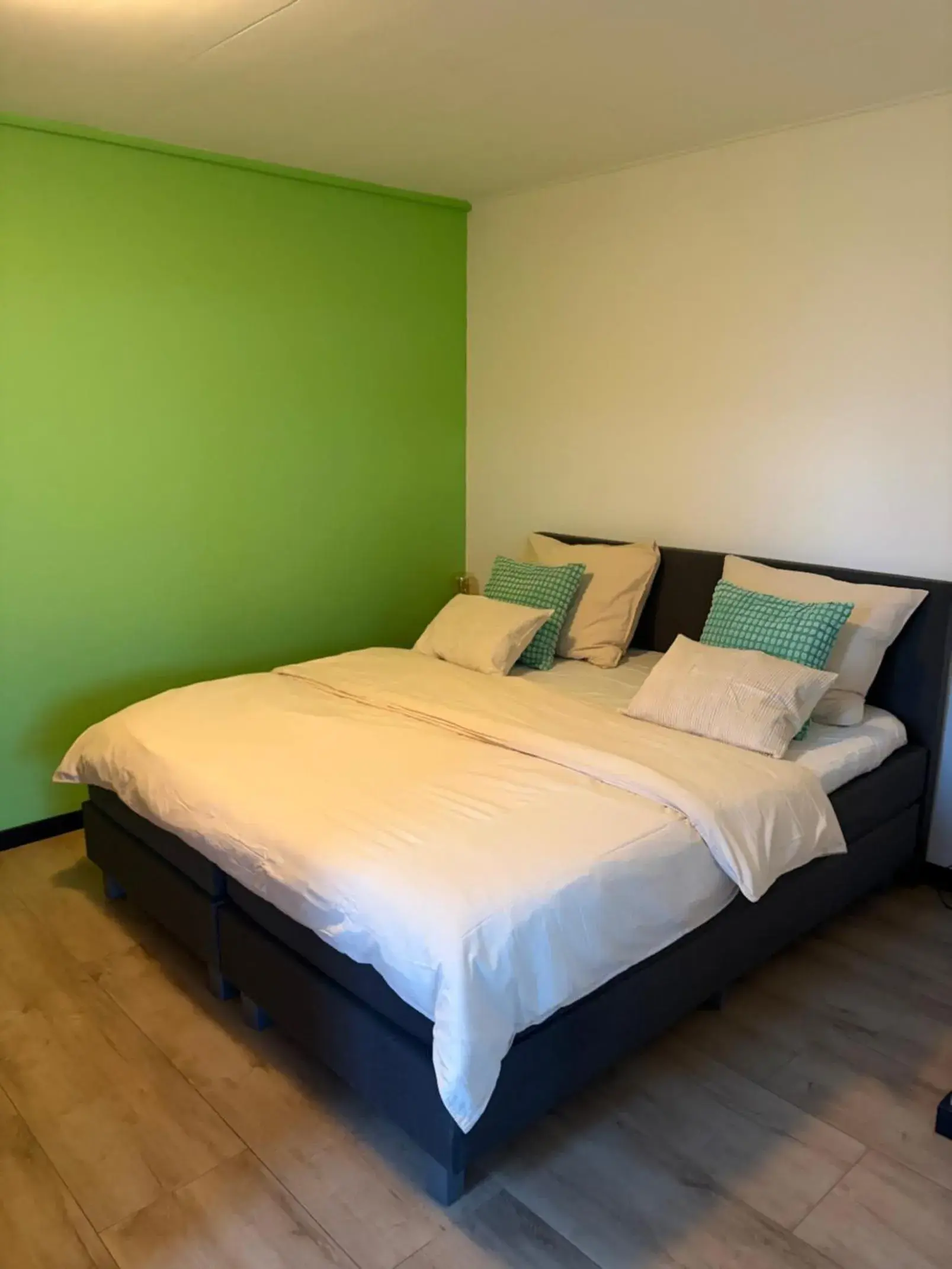 Double Room - single occupancy in B&B de Danser Double Room - single occupancy in B&B de Danser