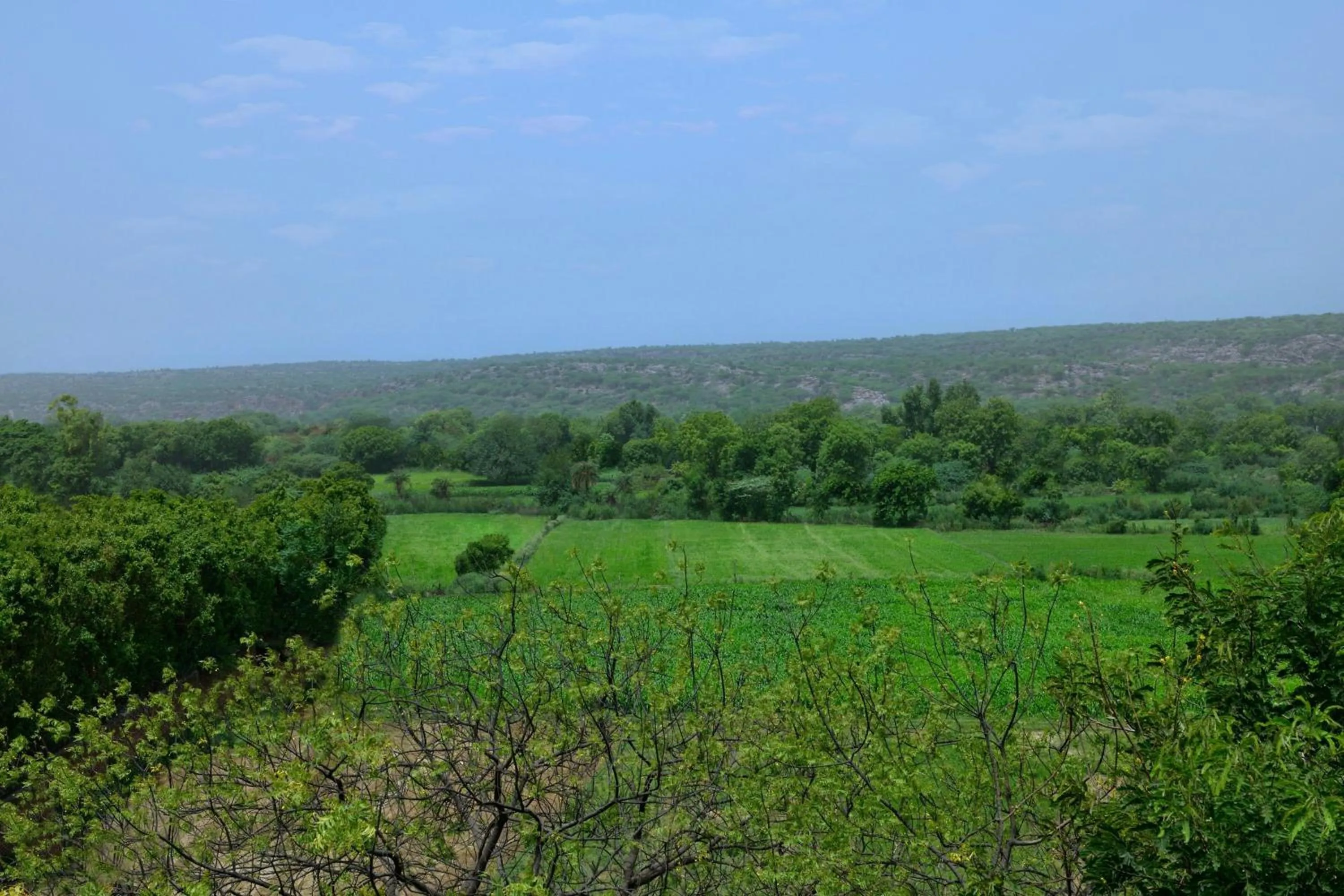 View (from property/room) in Courtyard by Marriott Aravali Resort