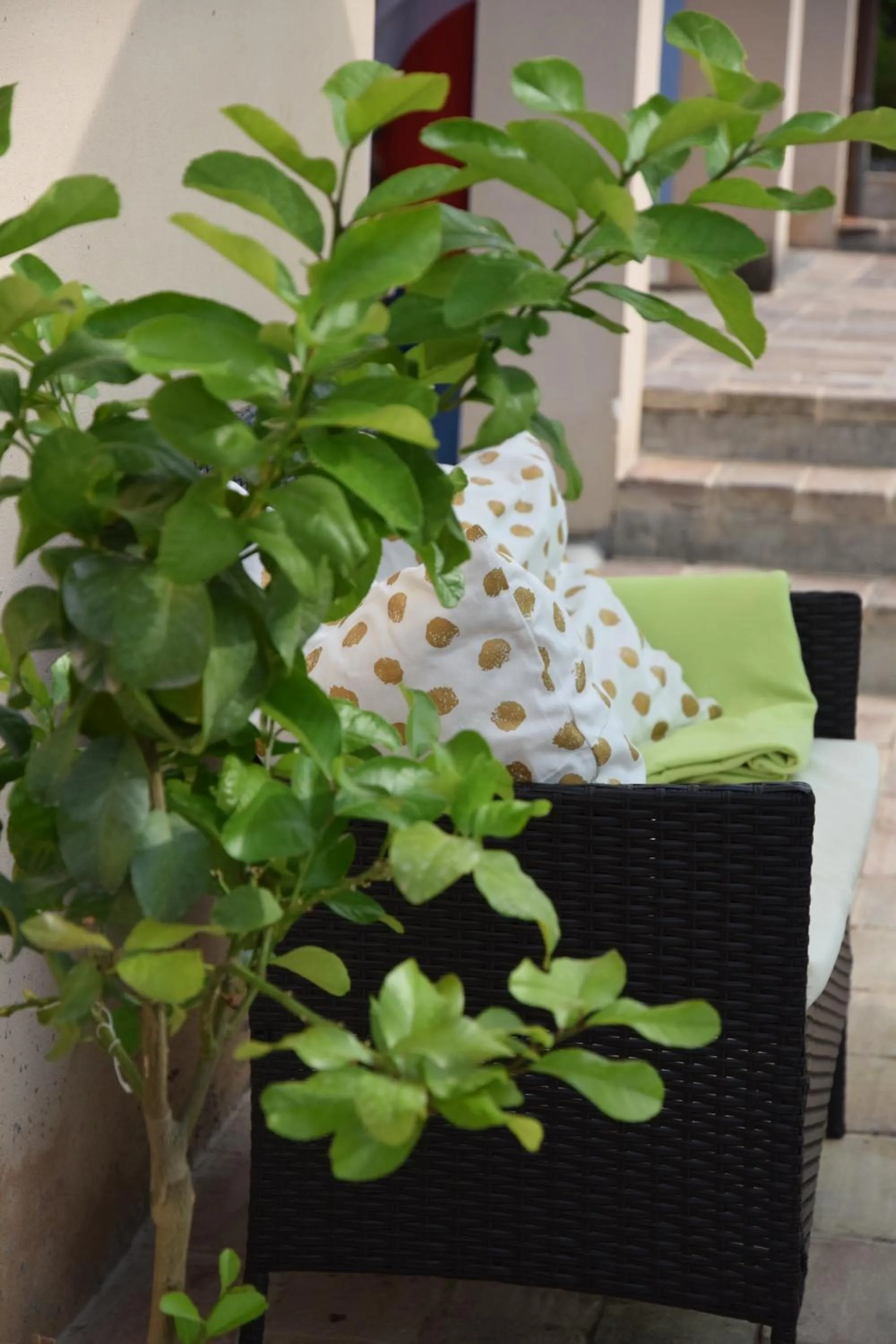 Garden in Casale di Maro