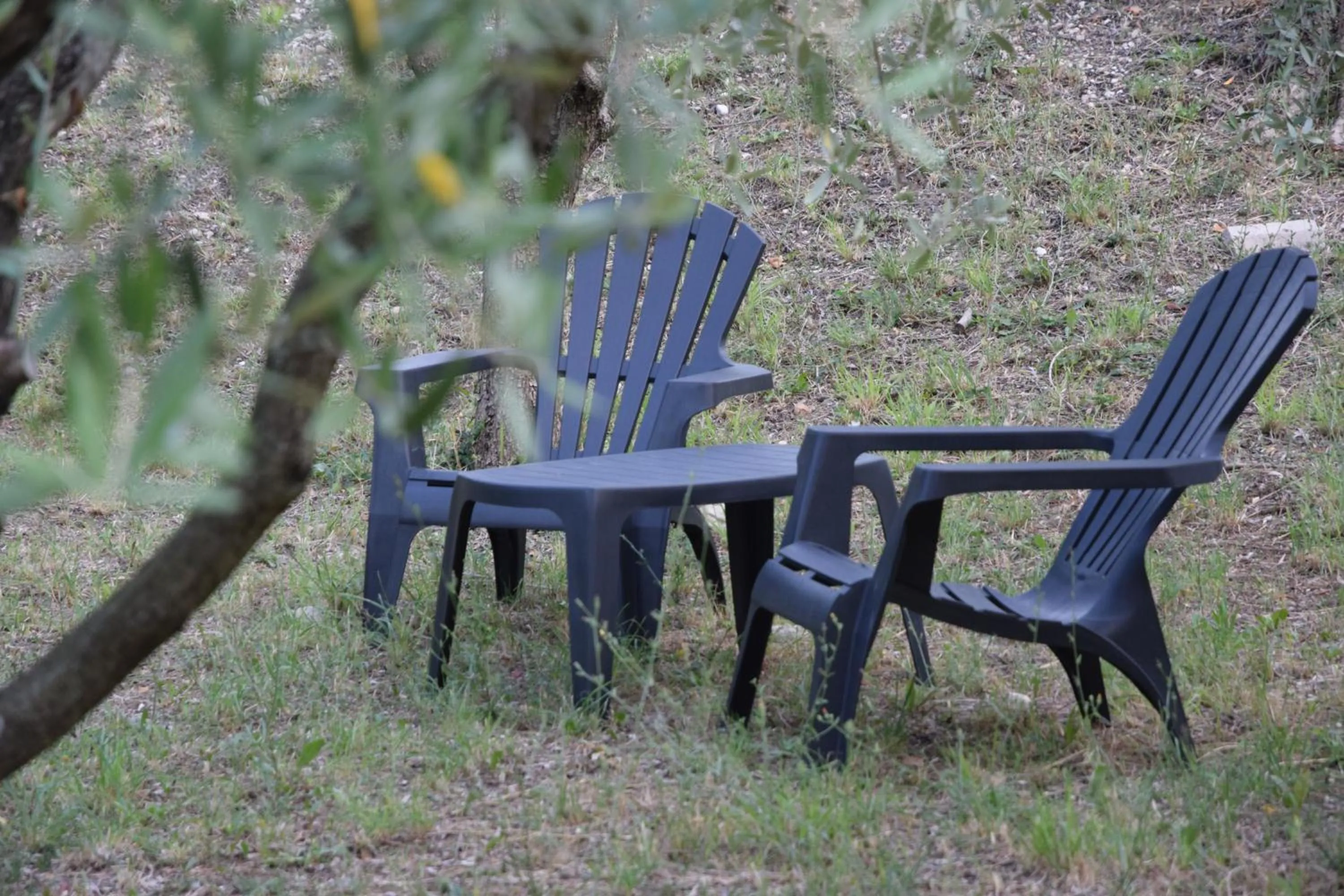 Garden in Casale di Maro