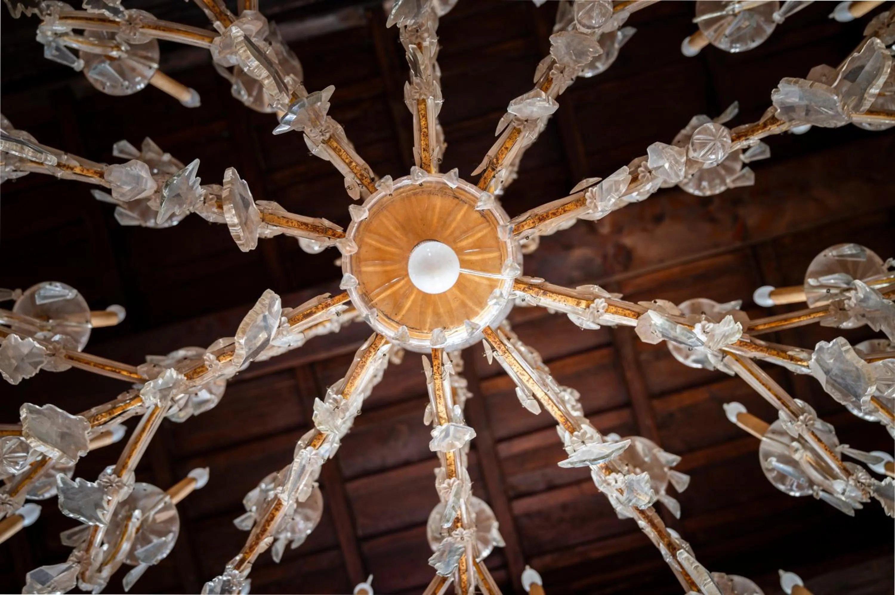 Bed and Breakfast Donna Olimpia