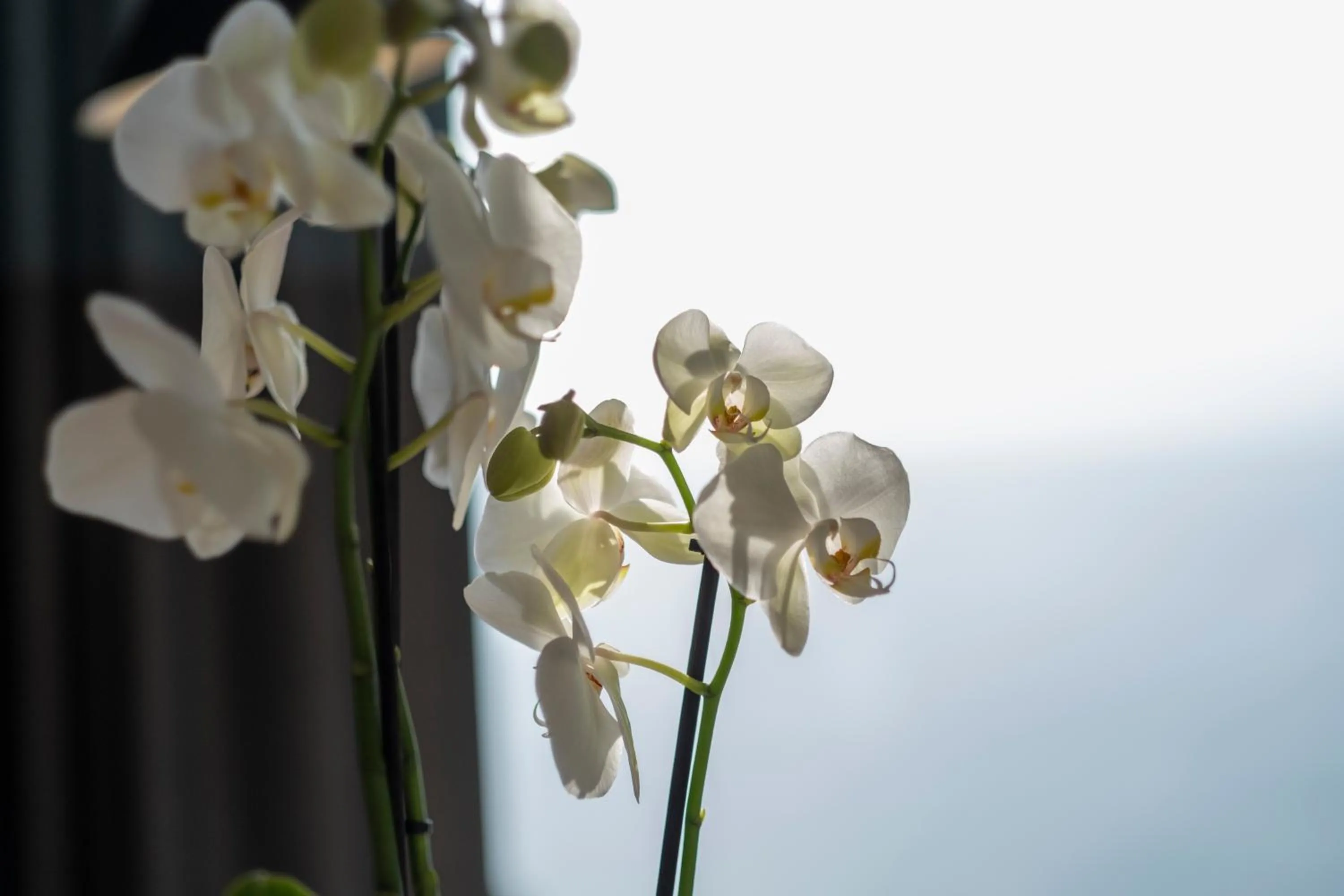 Decorative detail in Hotel Voramar