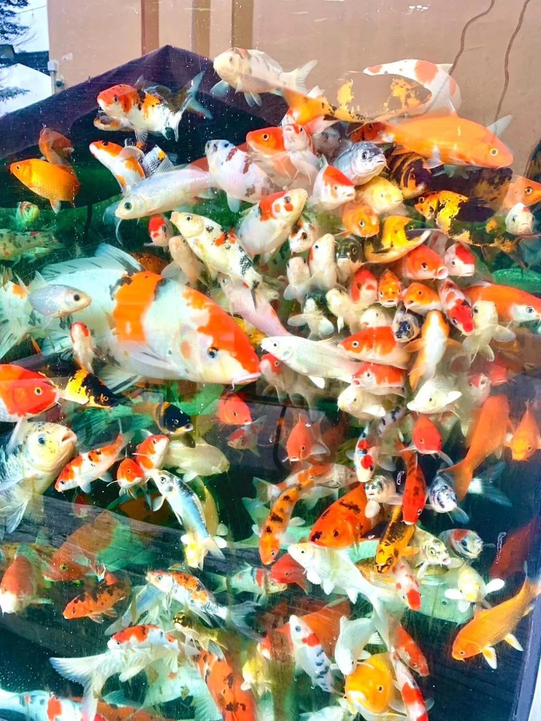 BANGKOK.GRAND.RESORT