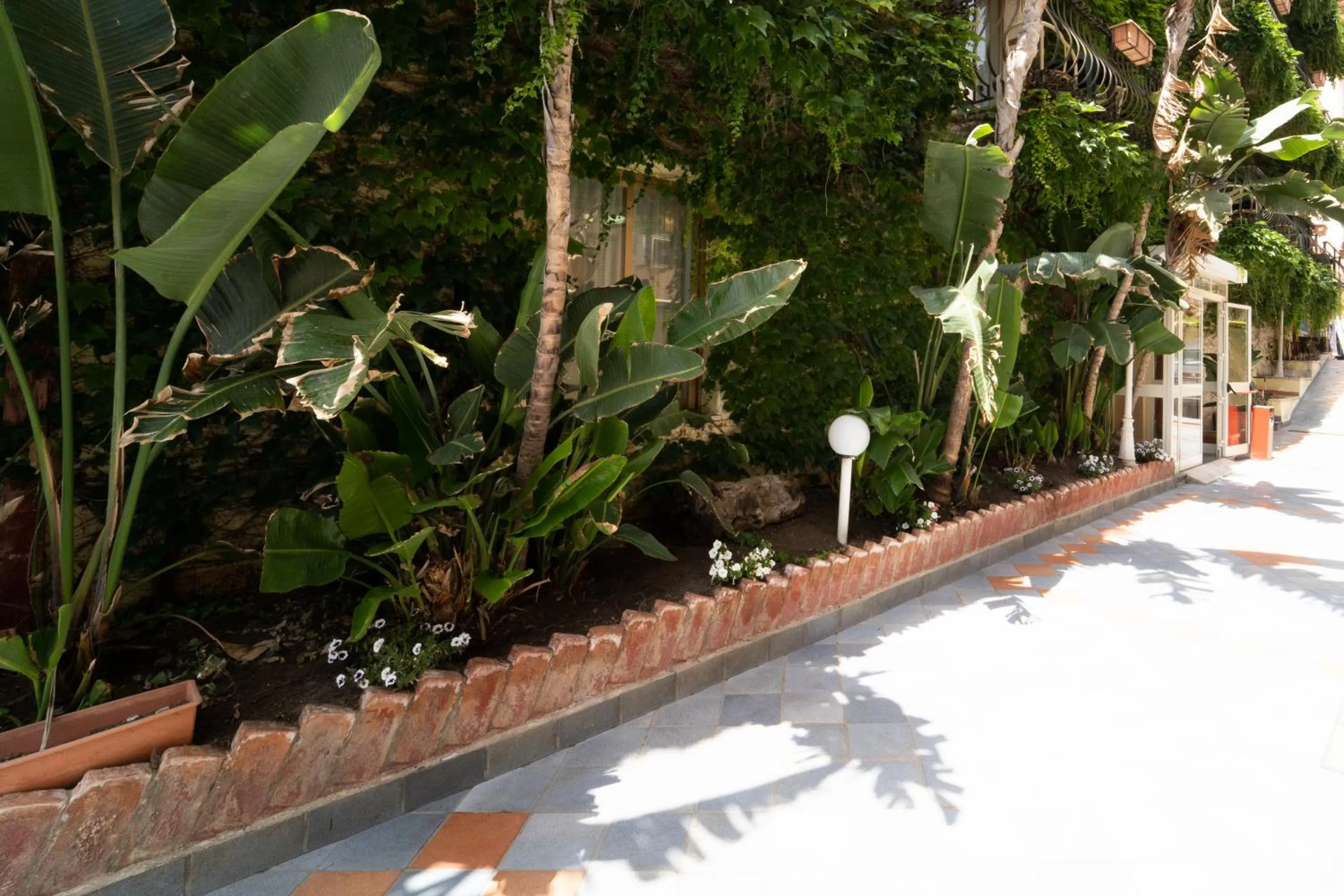Facade/entrance in Hotel San Pietro