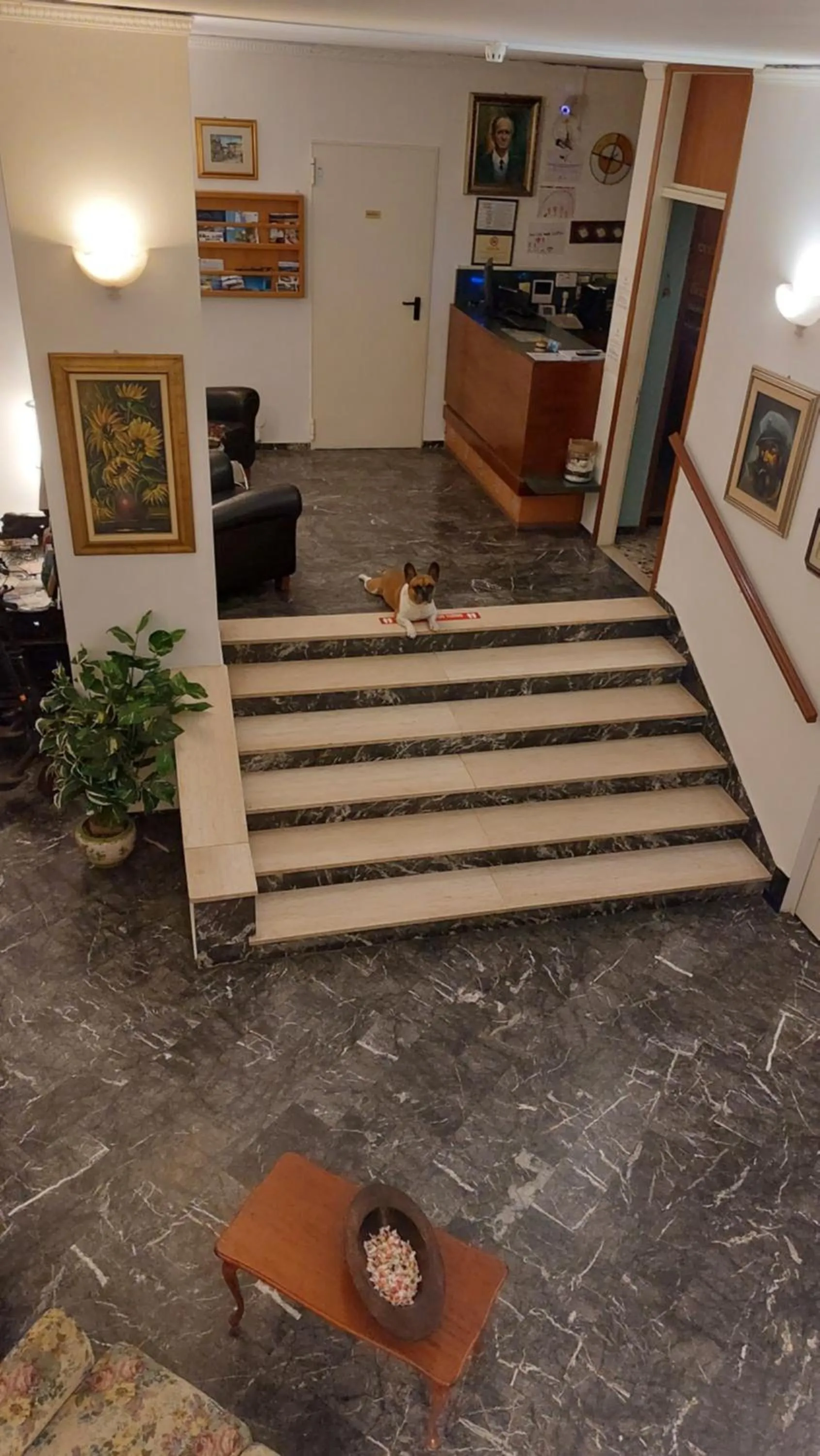 Lobby or reception in Hotel Helvetia