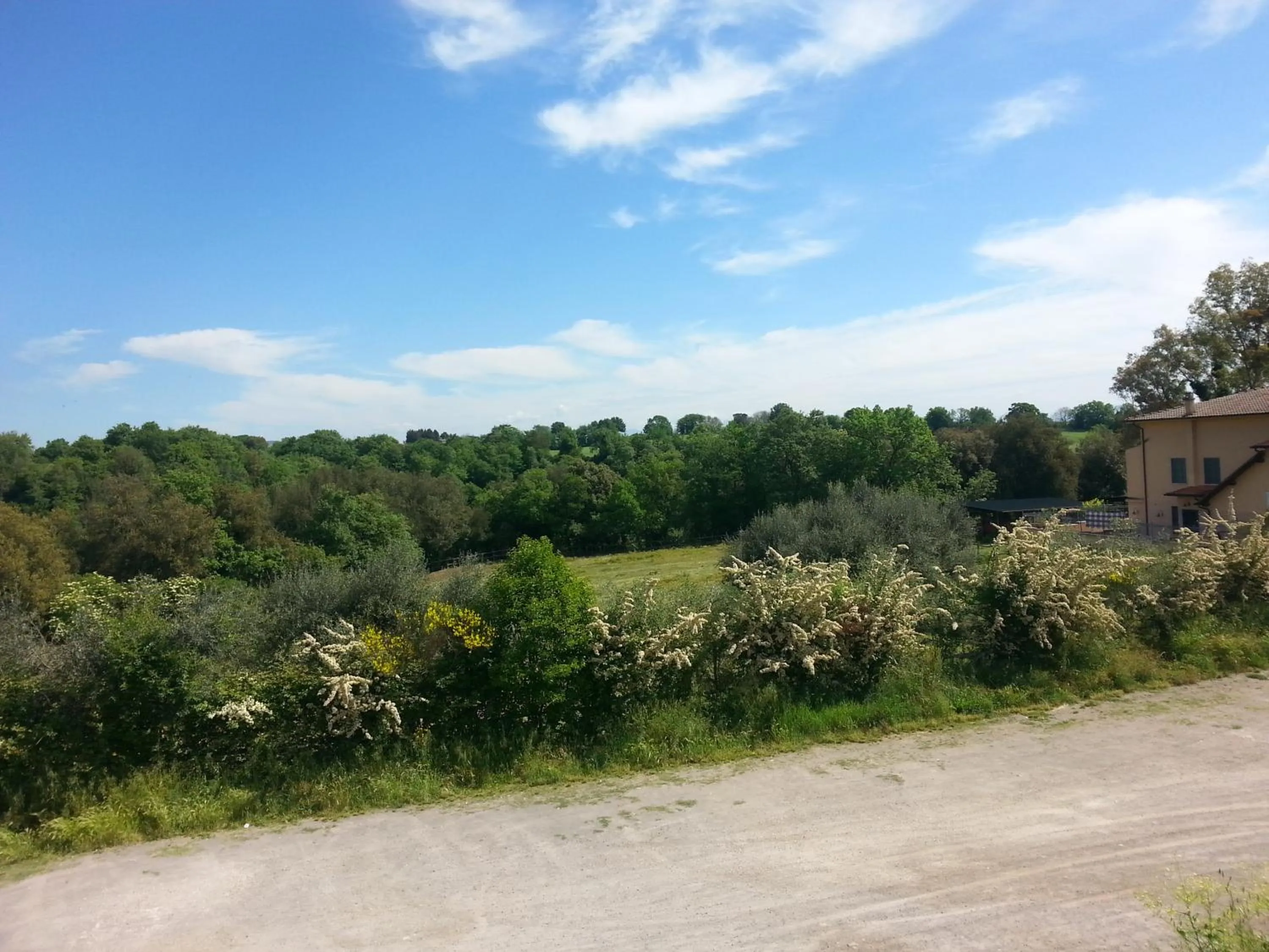 Natural landscape in Hotel Tempio di Apollo