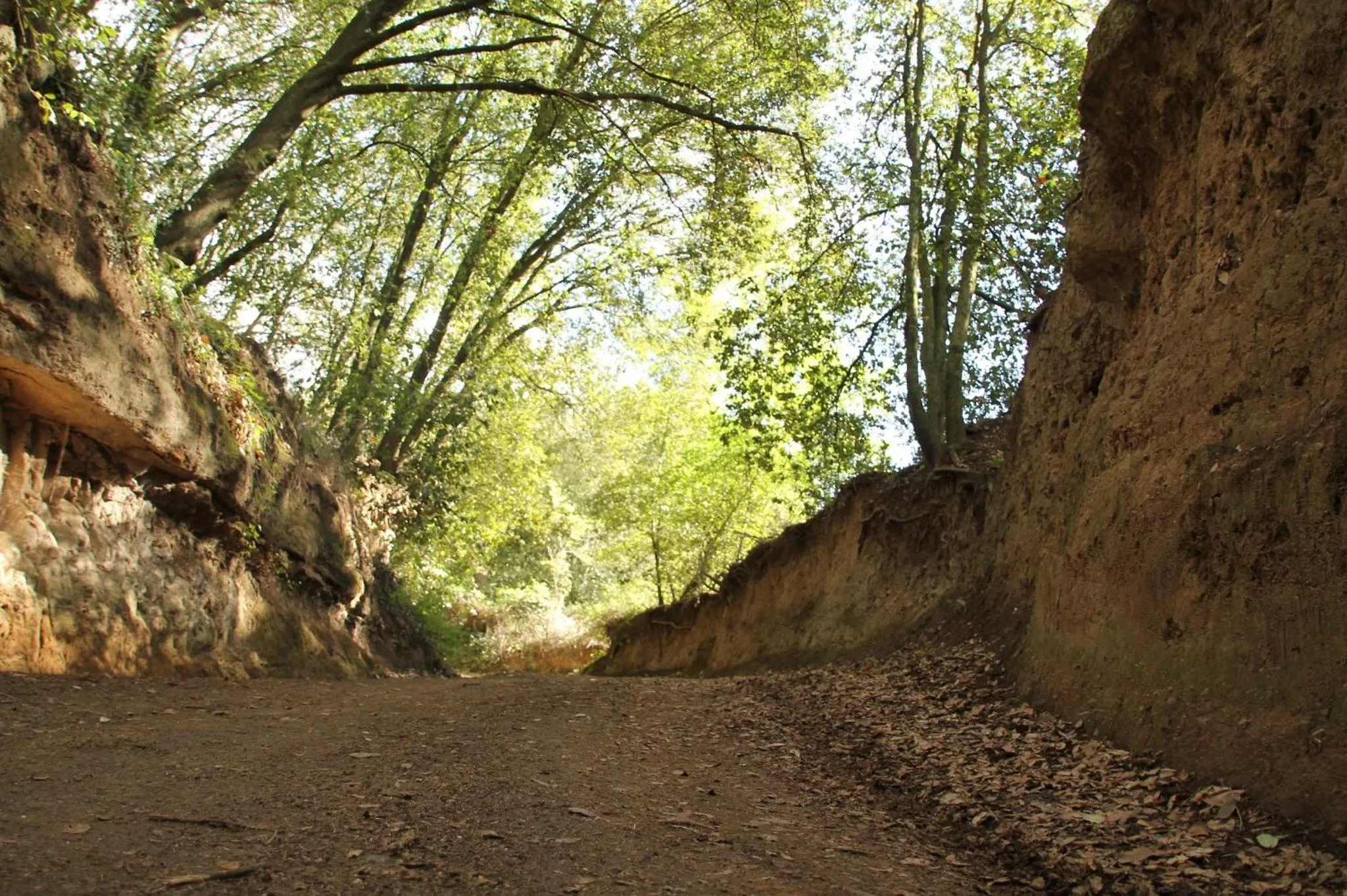 On site in Hotel Tempio di Apollo