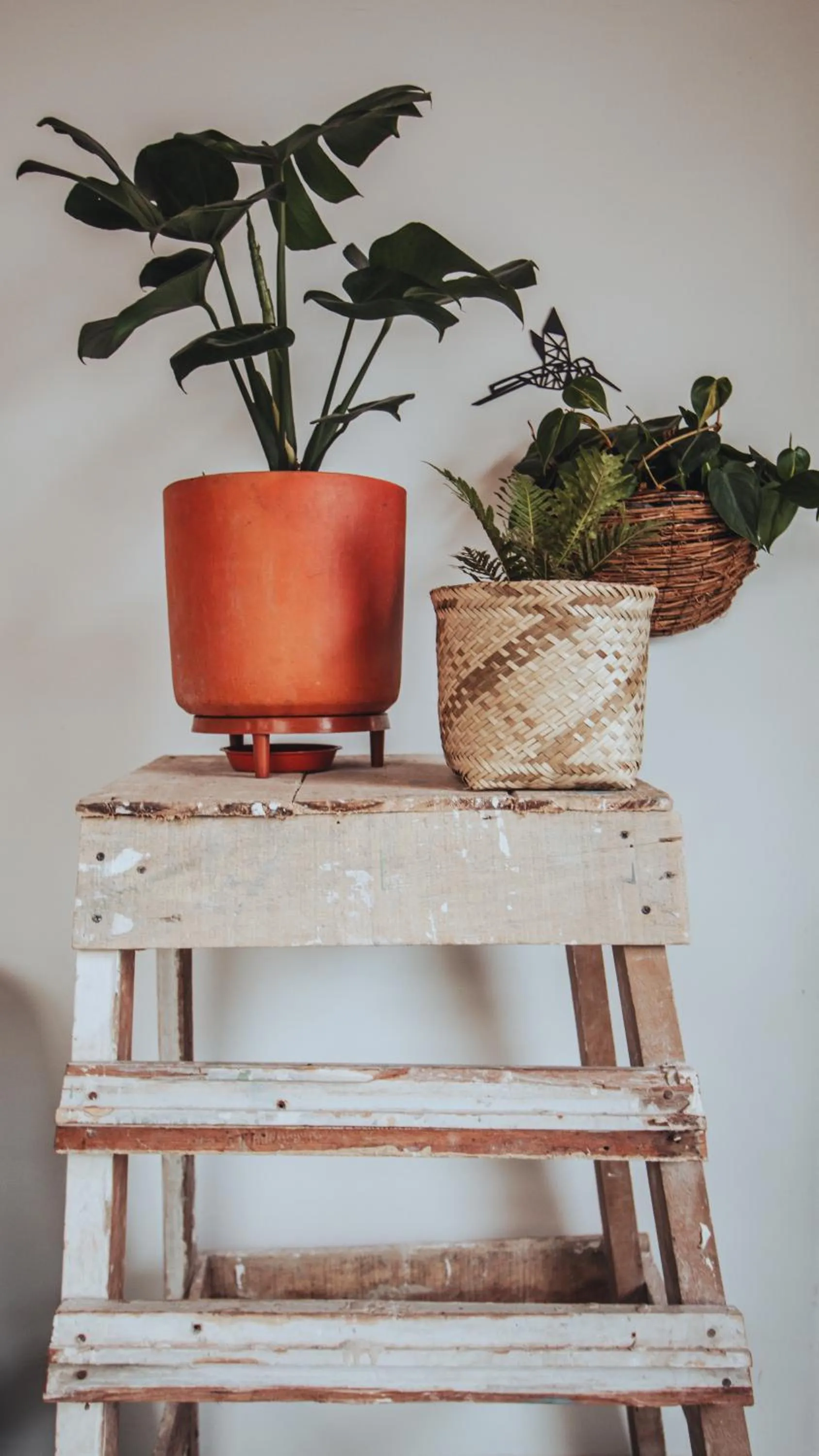 Off site in Centro Hostel Medellin