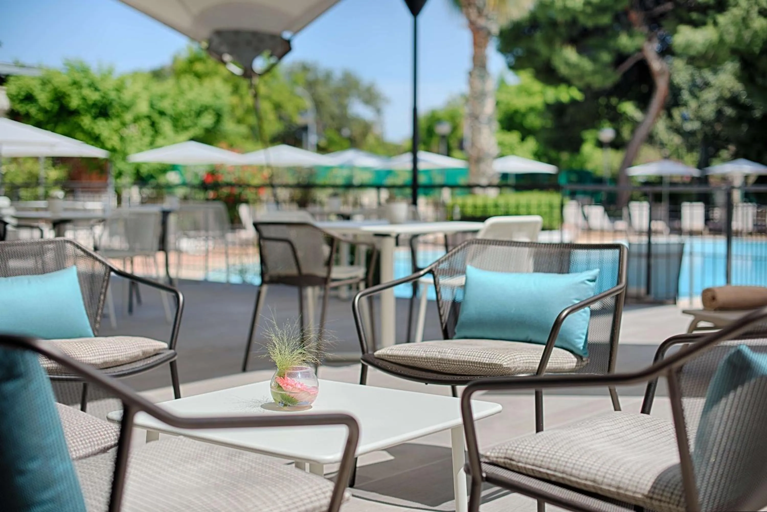 Pool view in NH Palermo