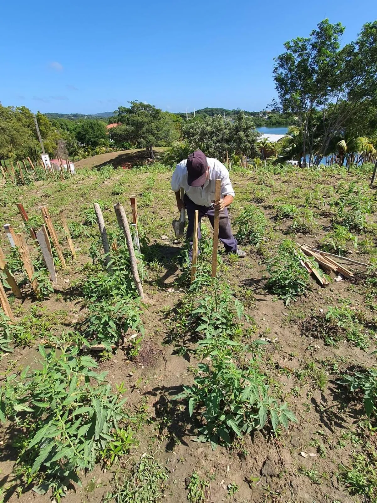 Property building in Hotel and Dive Center Roatan Yacht Club