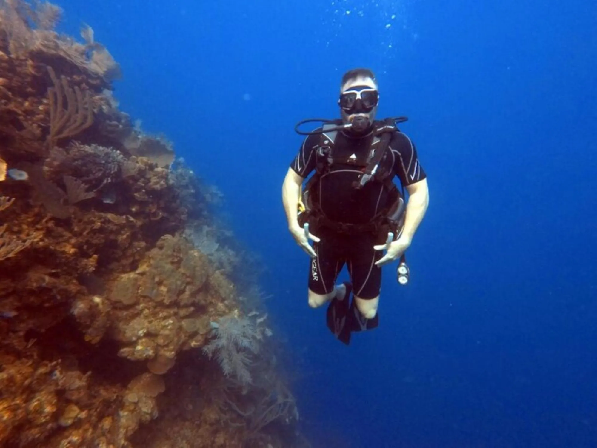 Activities in Hotel and Dive Center Roatan Yacht Club