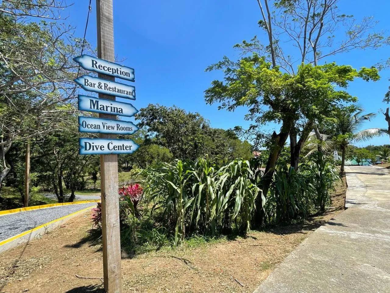 Property building in Hotel and Dive Center Roatan Yacht Club