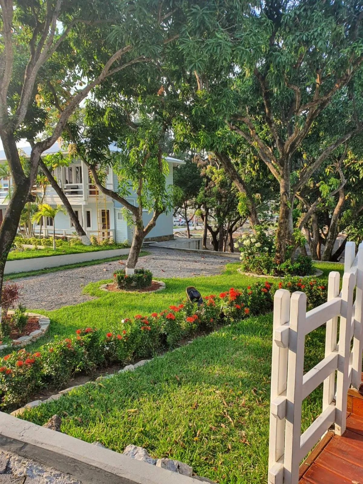 Garden in Hotel and Dive Center Roatan Yacht Club