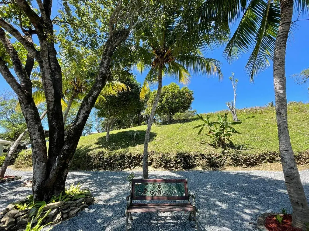 Standard Double Room in Hotel and Dive Center Roatan Yacht Club Standard Double Room in Hotel and Dive Center Roatan Yacht Club