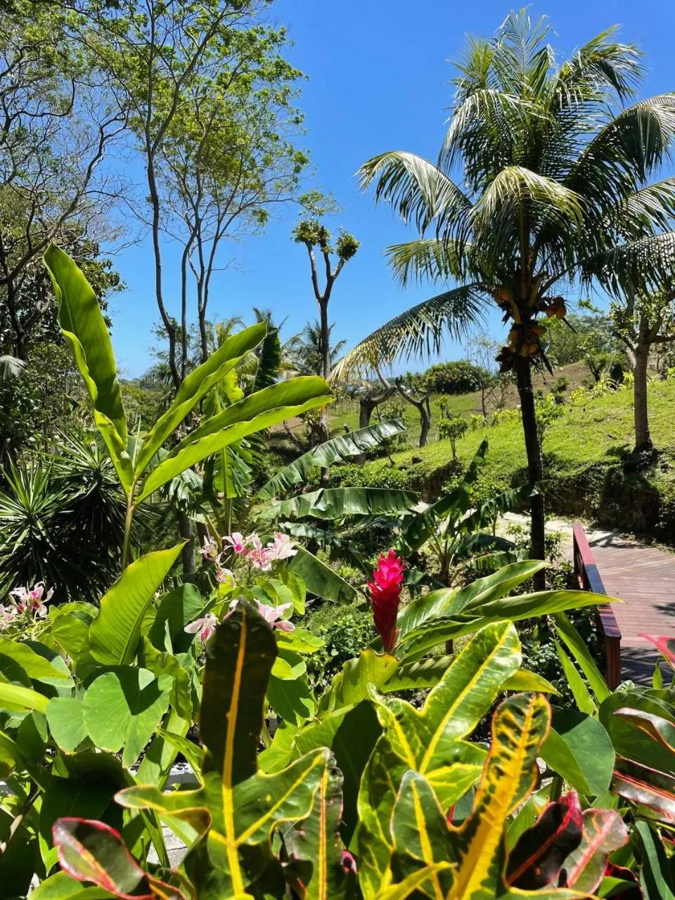 Property building in Hotel and Dive Center Roatan Yacht Club
