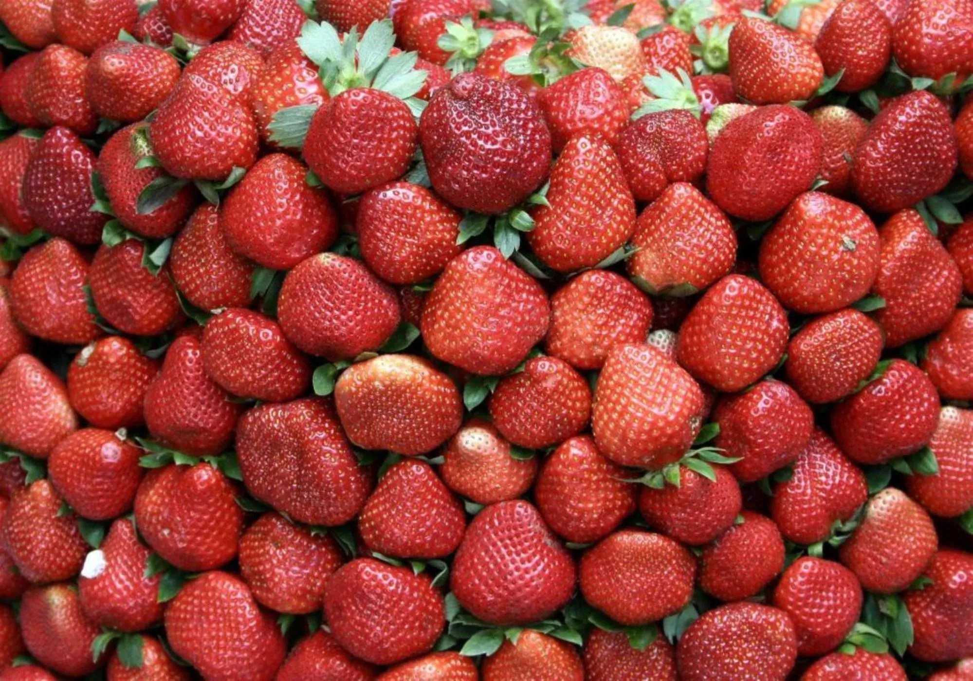 Food in RedDoorz Hostel at MRC Residences Baguio