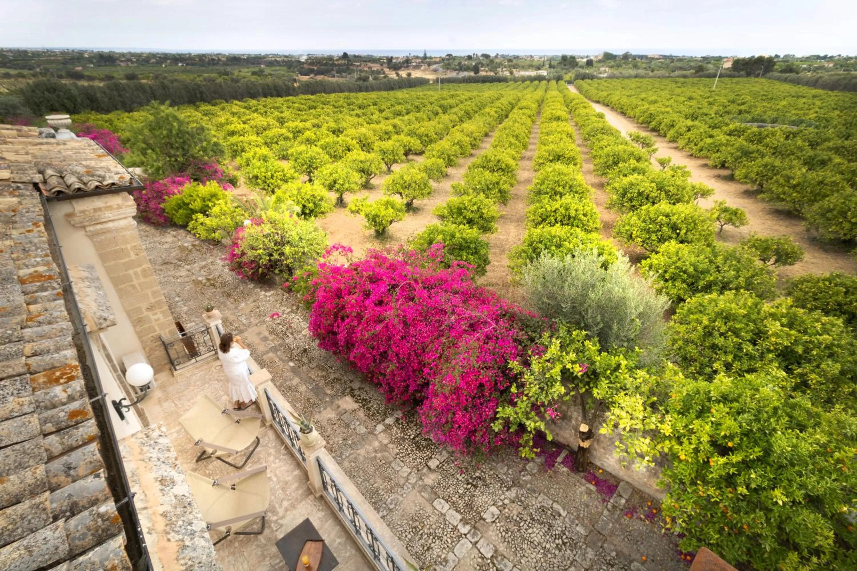 Bird's eye view in Hotel Villa Favorita
