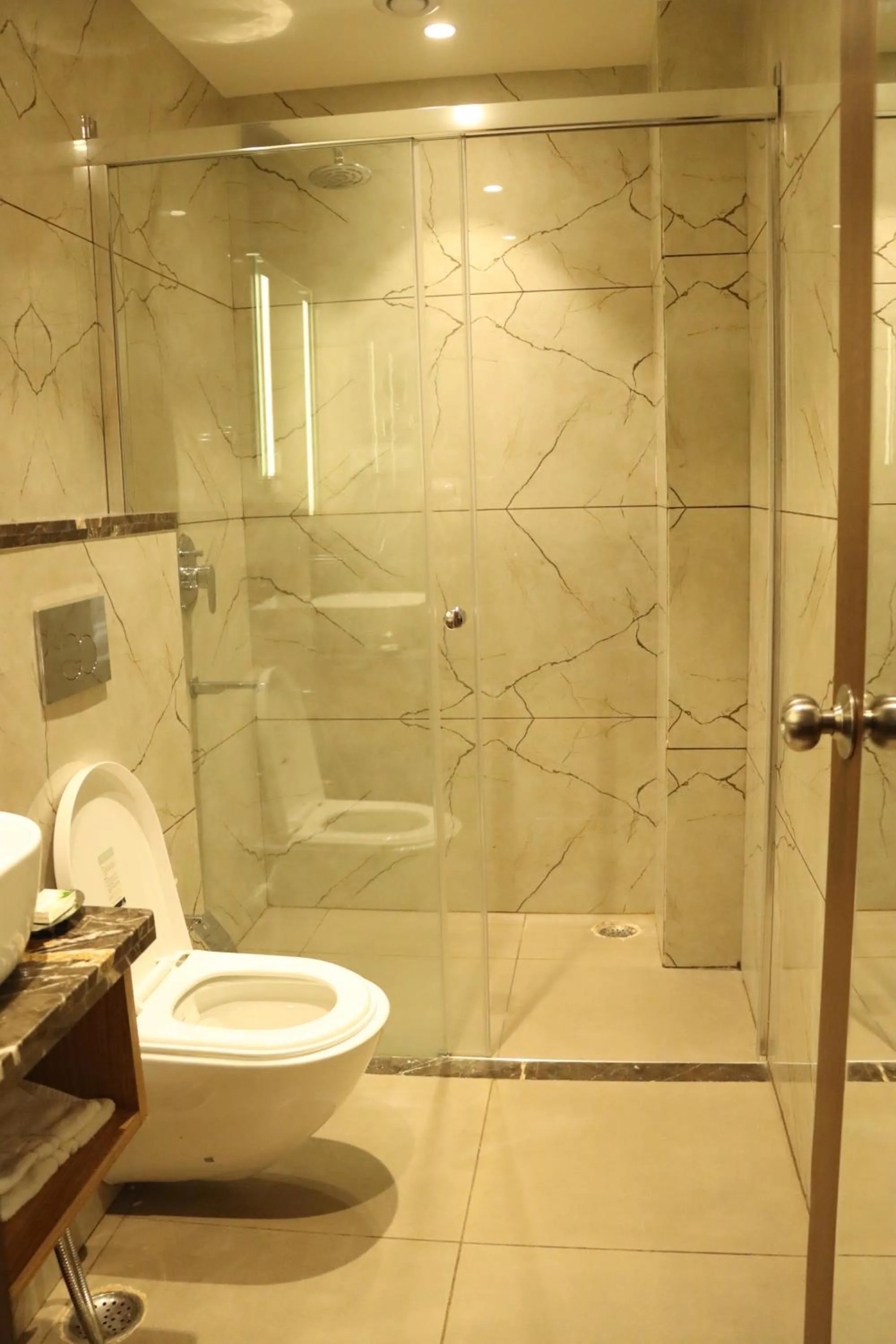 Toilet in Pride Hotel Bhopal