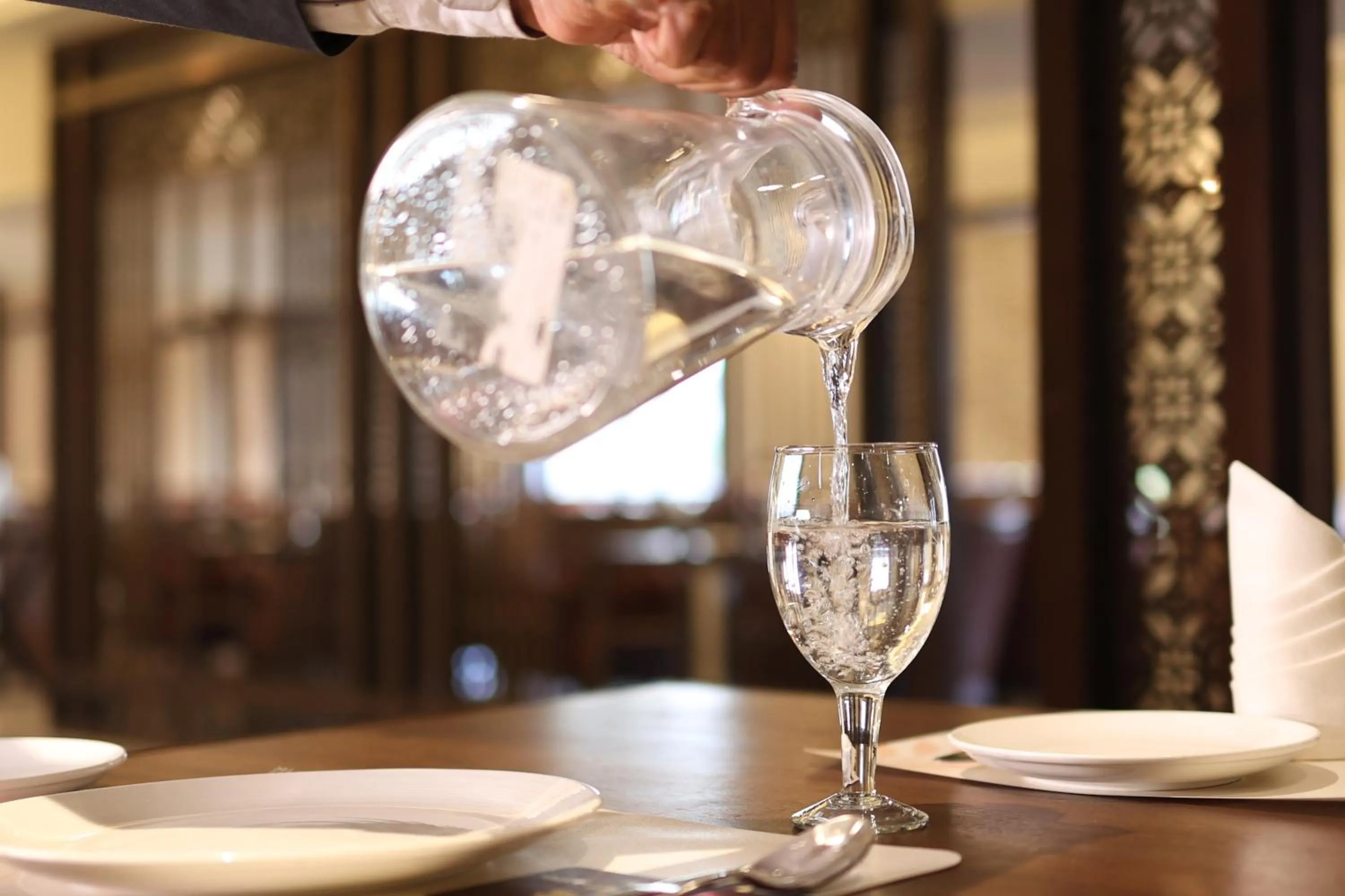 Restaurant/places to eat in Pride Hotel Bhopal