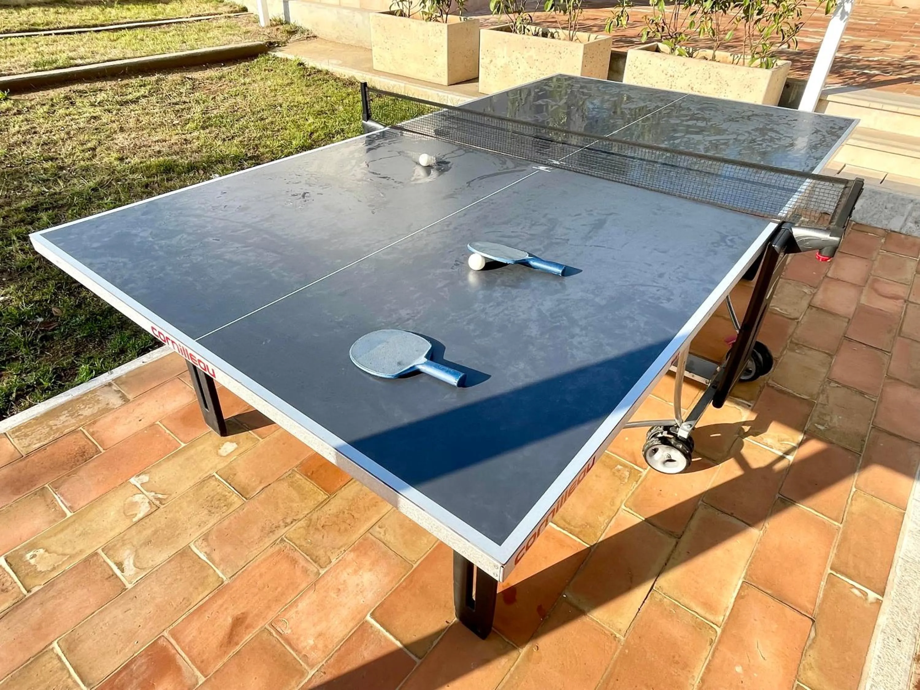 Table tennis in Agriturismo Le Masciare