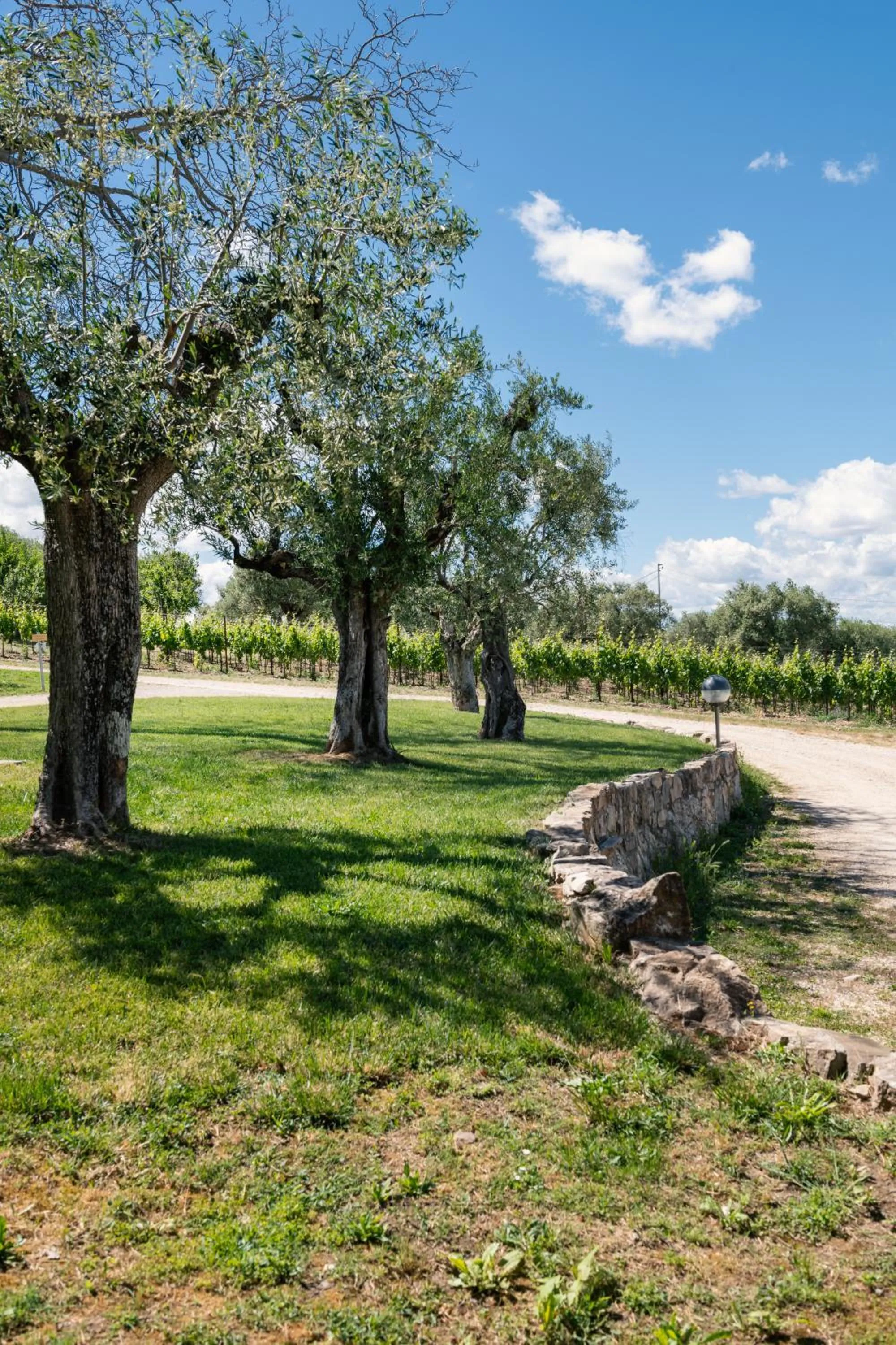 Quiet street view in Agriturismo Le Masciare