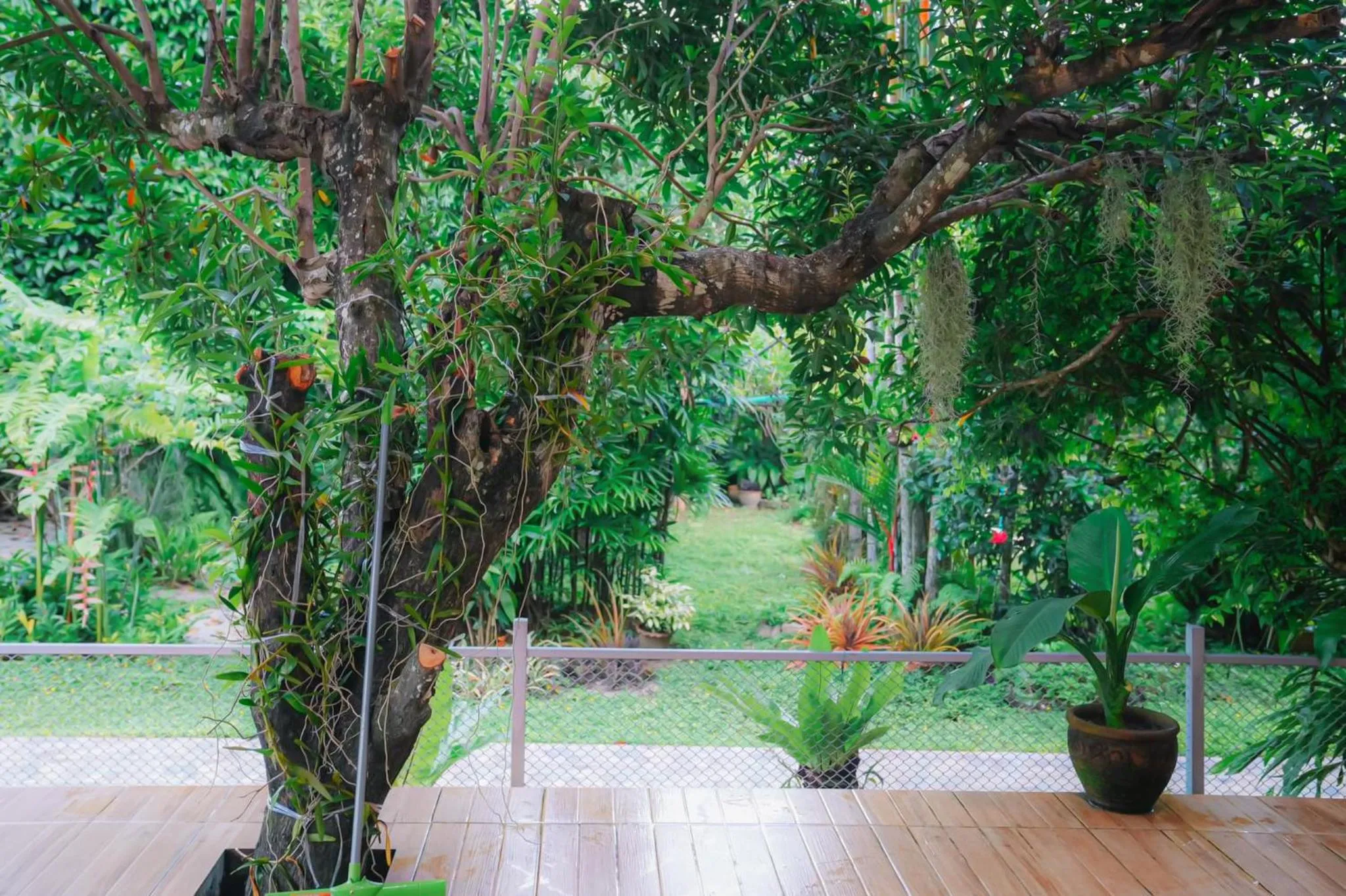 Communal lounge/ TV room in Daddy Dream Hotel and Residence