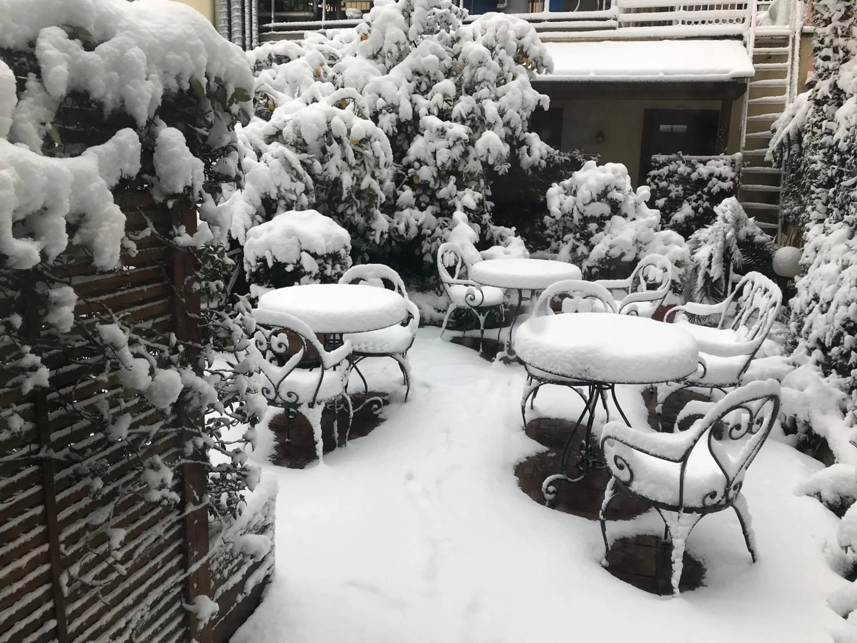 Garden in Hotel Select Garden