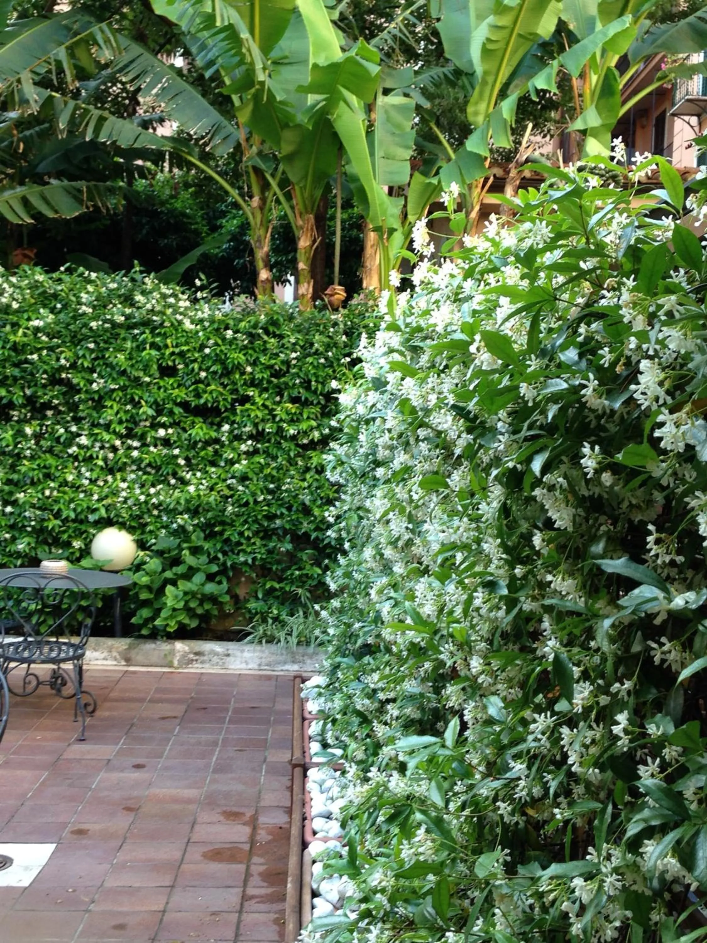 Garden in Hotel Select Garden