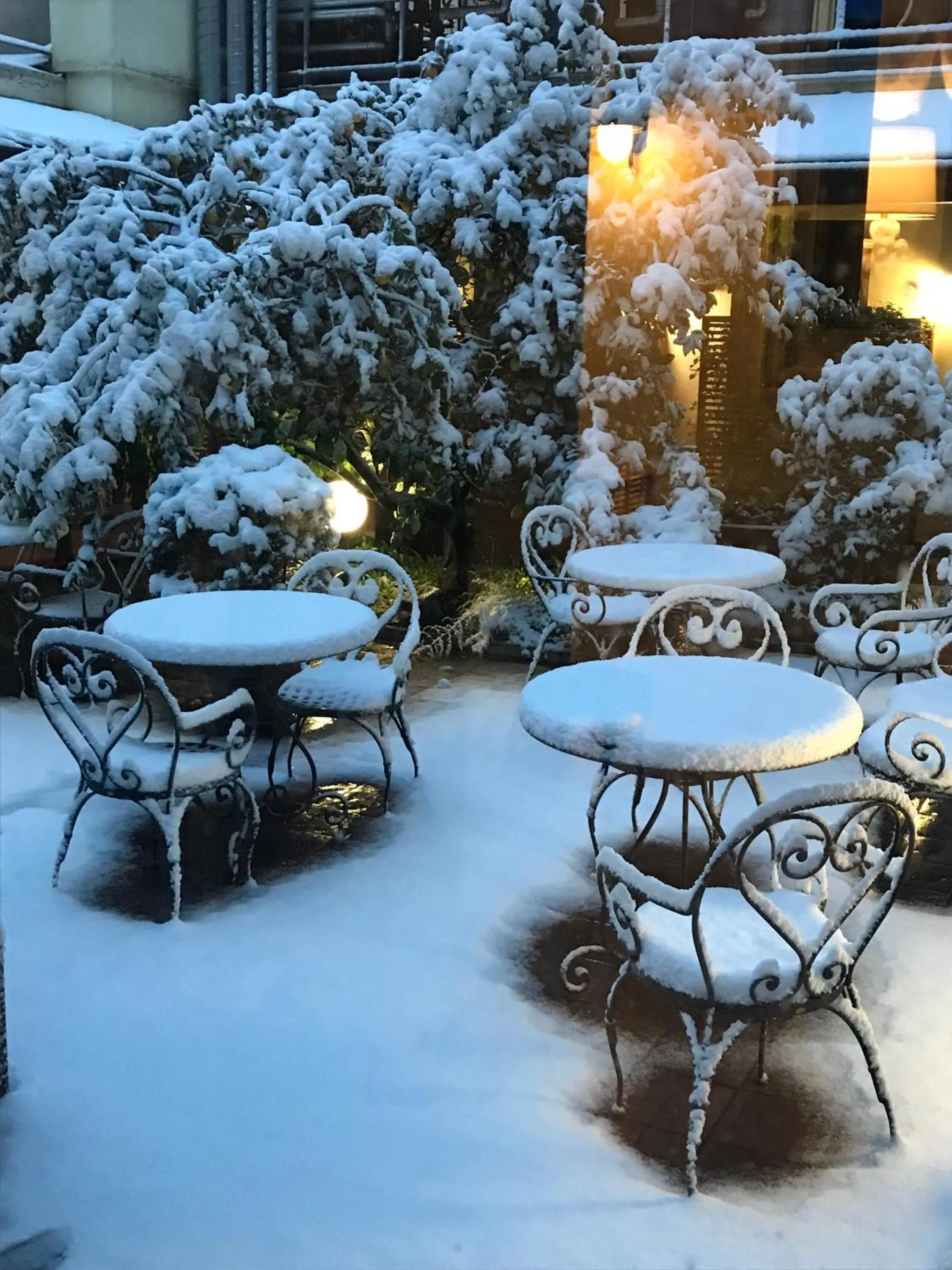 Garden in Hotel Select Garden