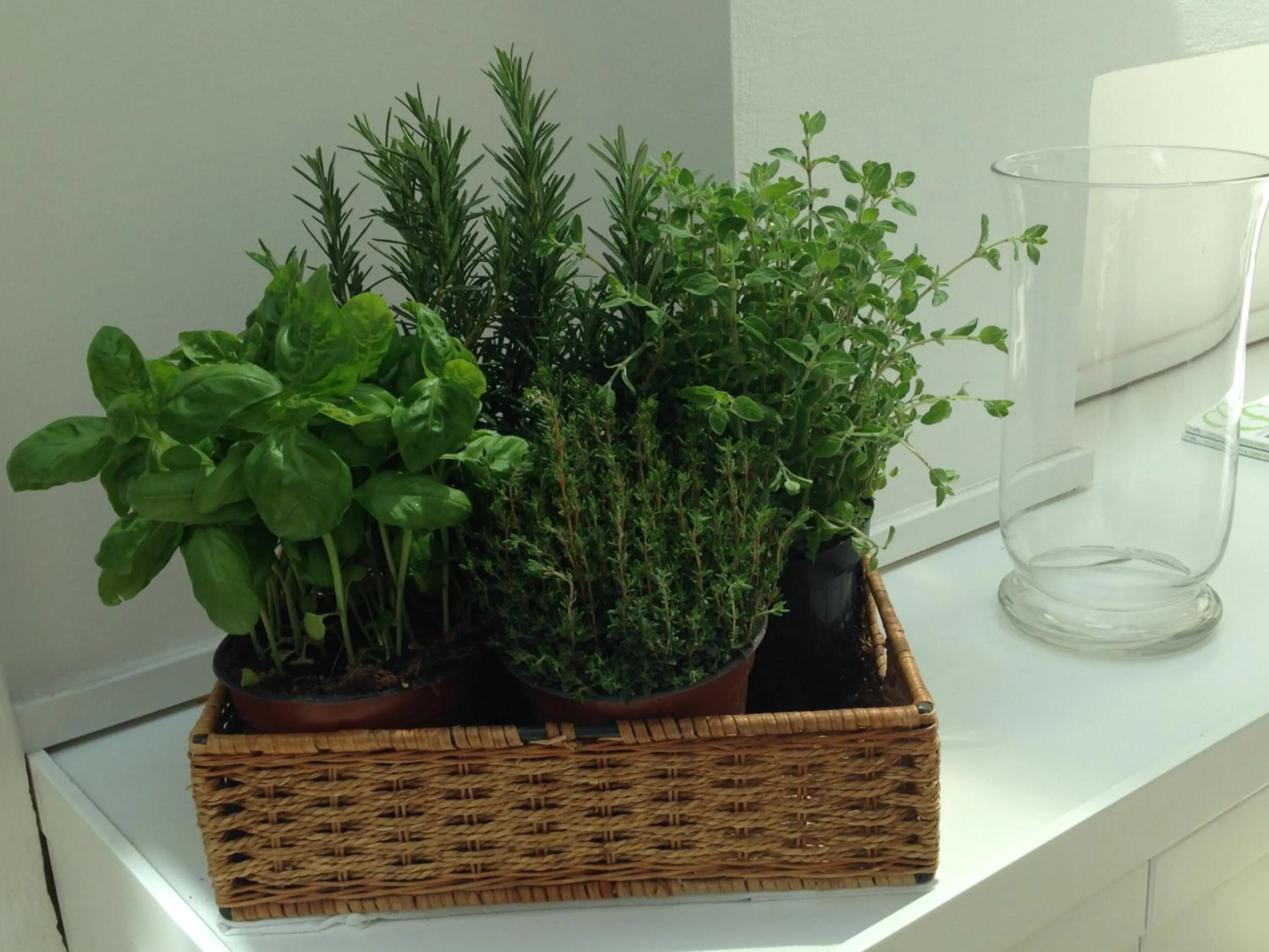 Decorative detail in Hotel Select Garden