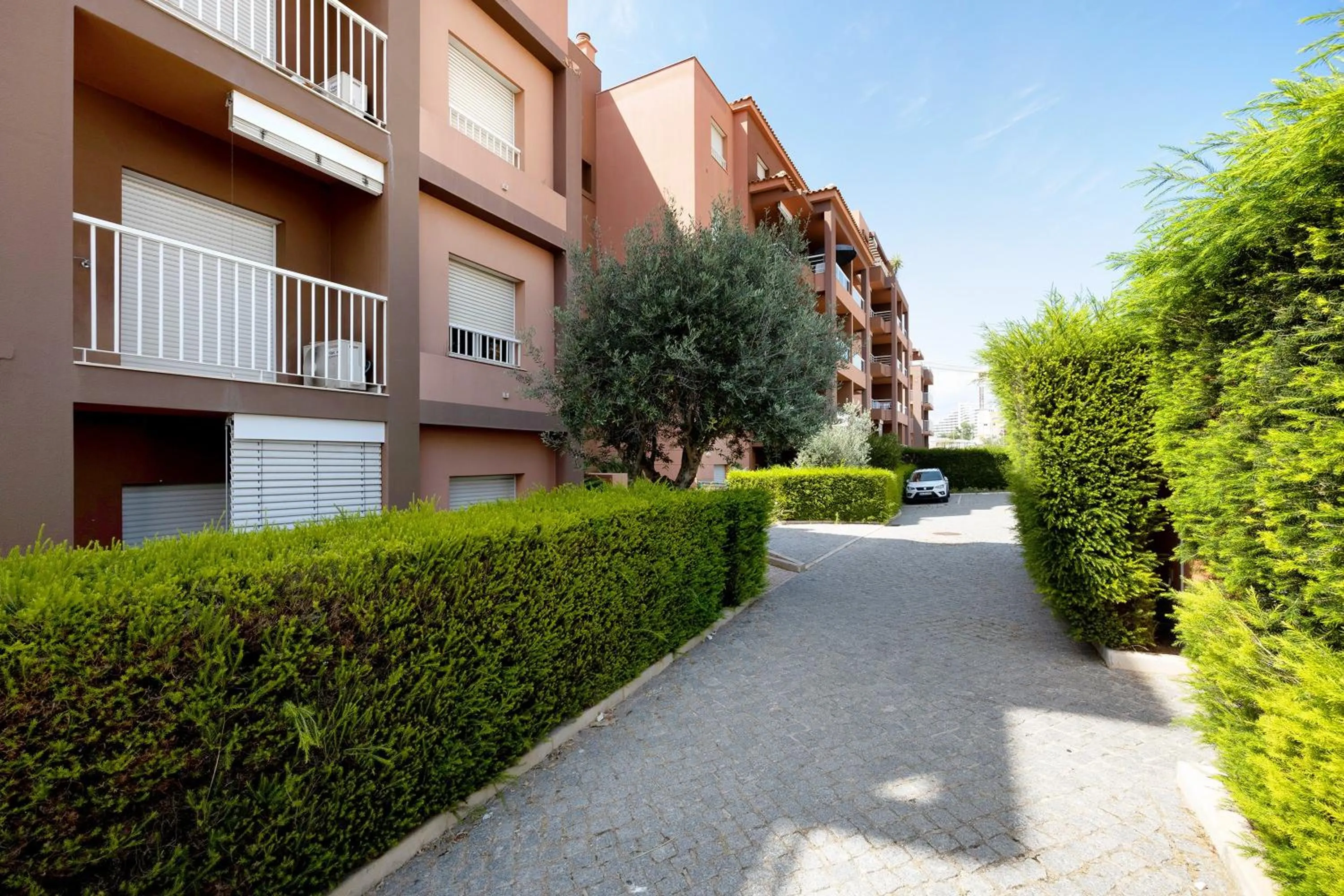 Property building in Casa Minke