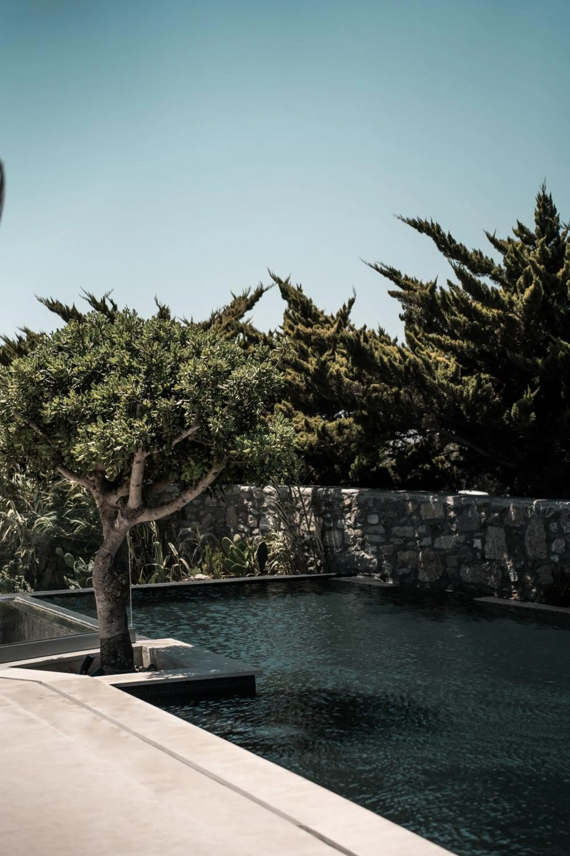 Swimming pool in Asty Mykonos Hotel & Spa - World of One Hotel Group