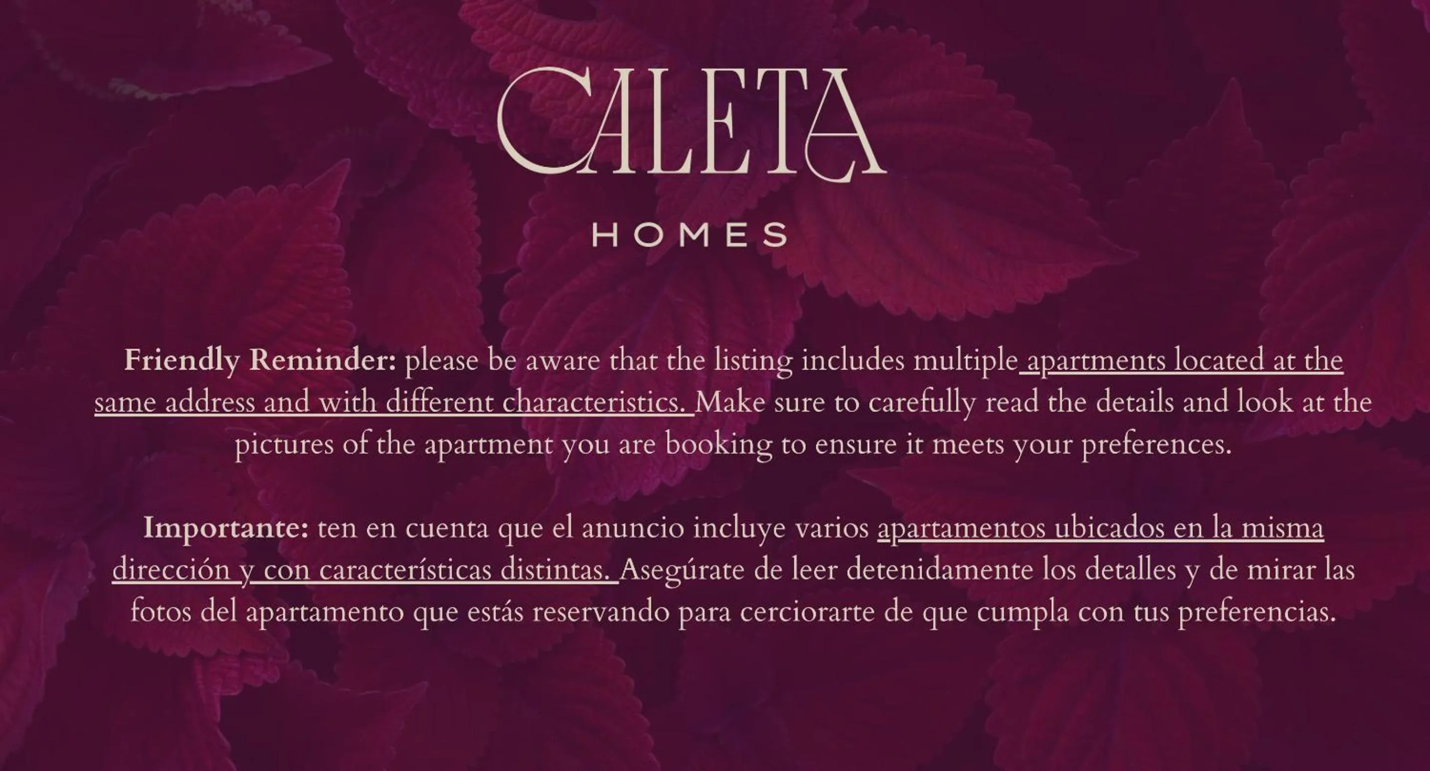 TV and multimedia in Thyssen Boutique Apartments by Caleta Homes