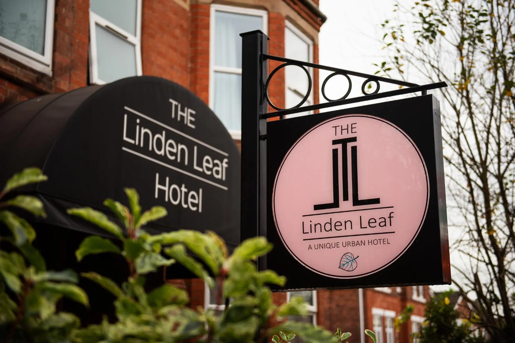The Linden Leaf Rooms
