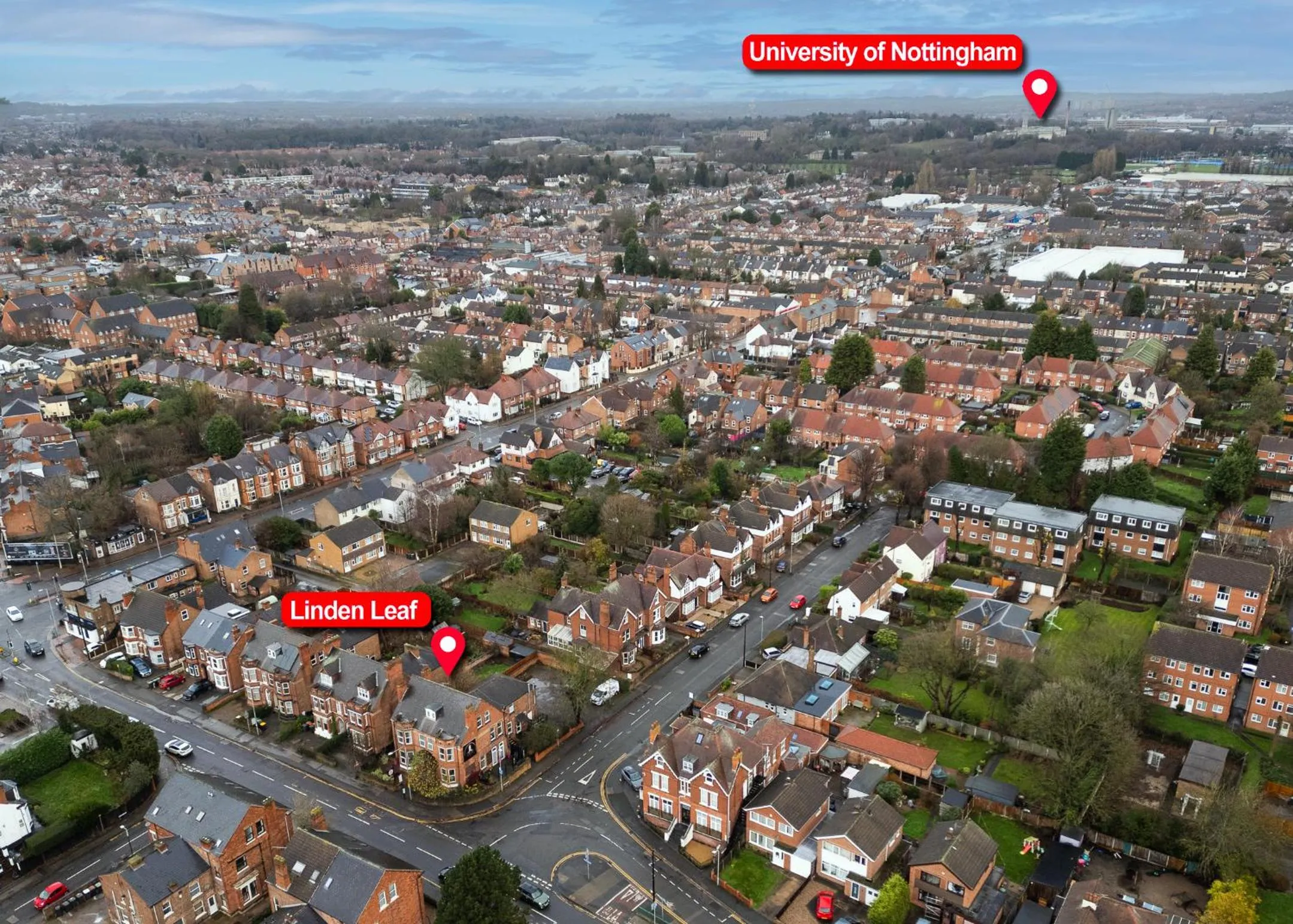 The Linden Leaf Rooms