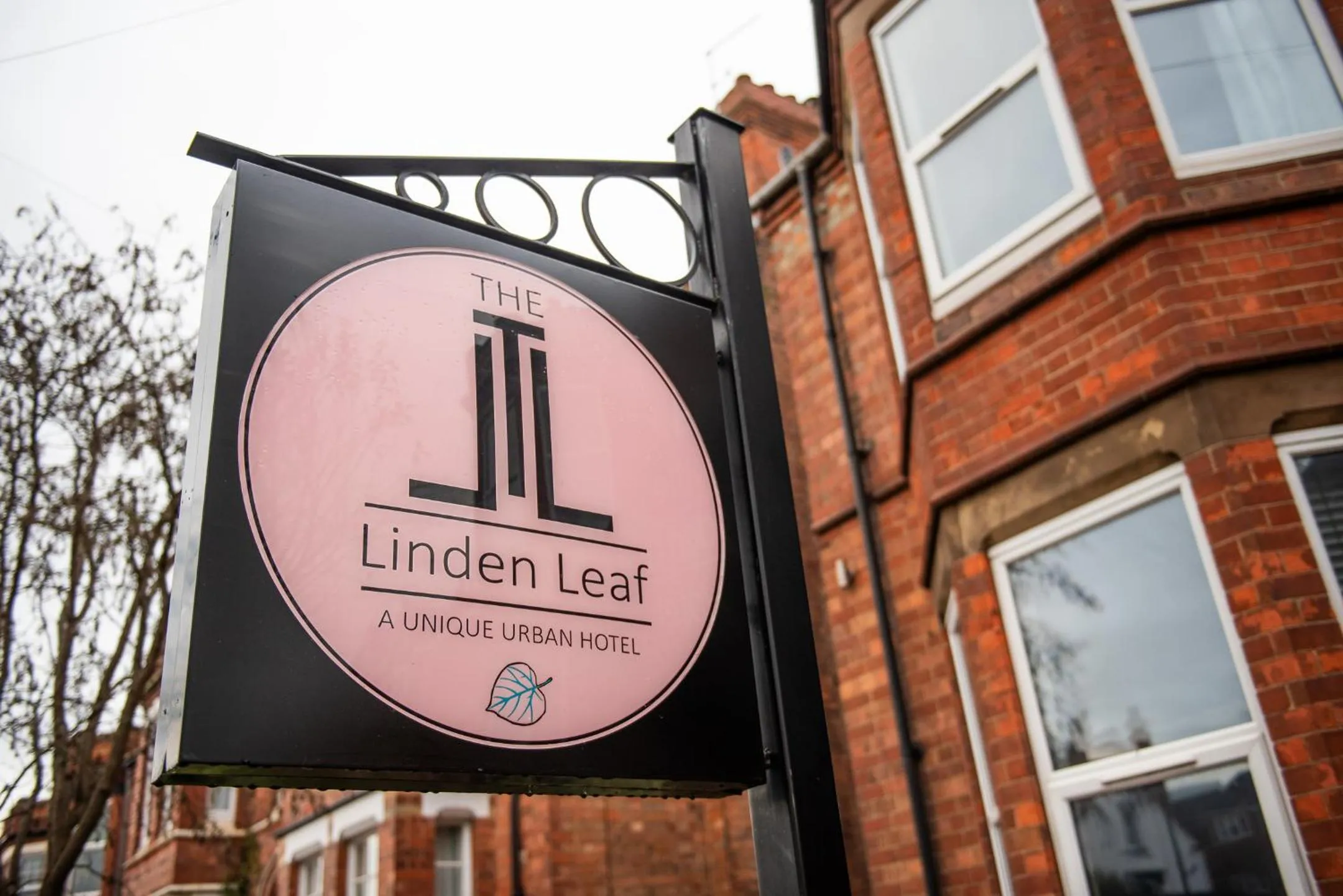 The Linden Leaf Rooms