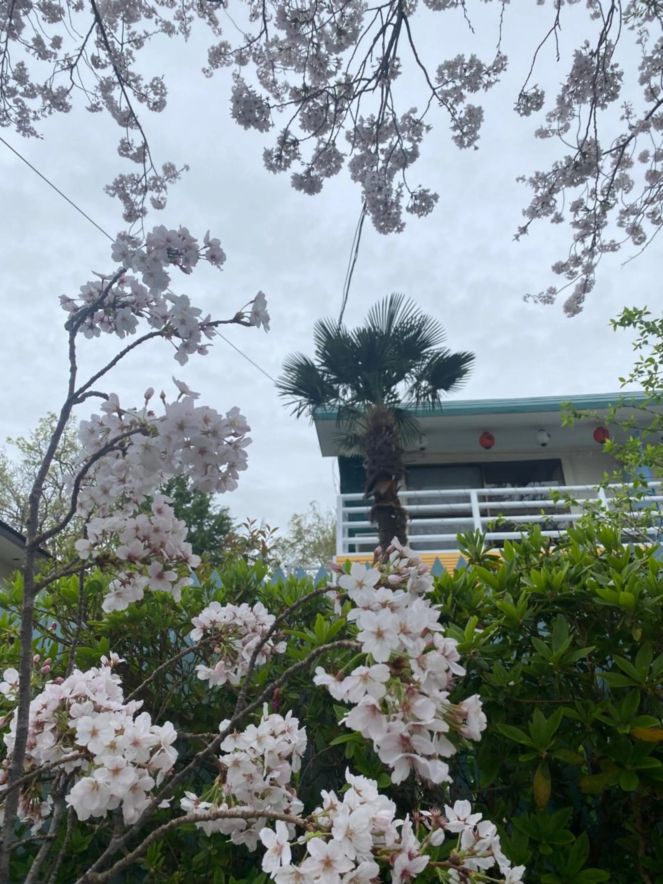 Hanamizuki Onsen Resort