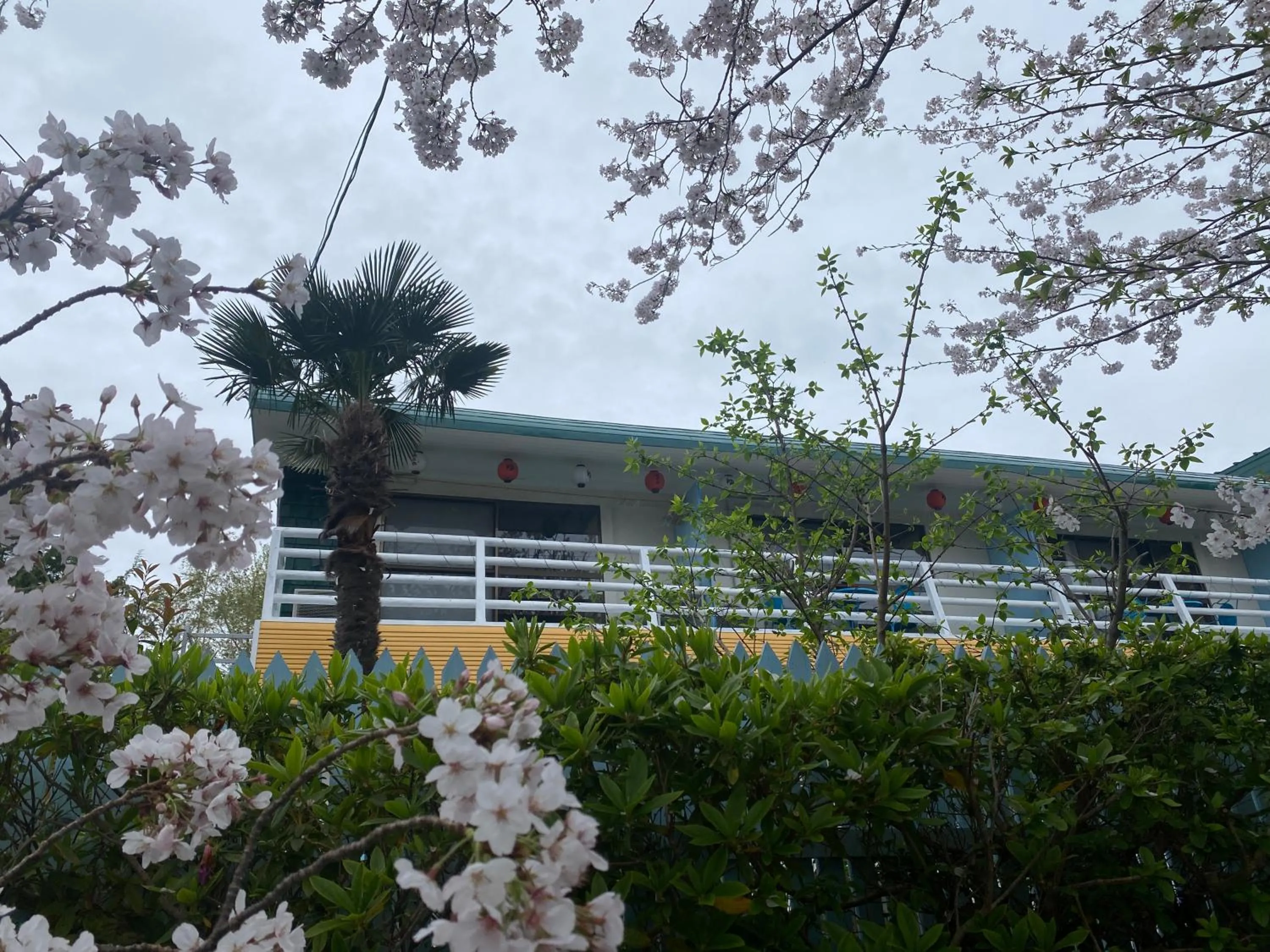 Hanamizuki Onsen Resort