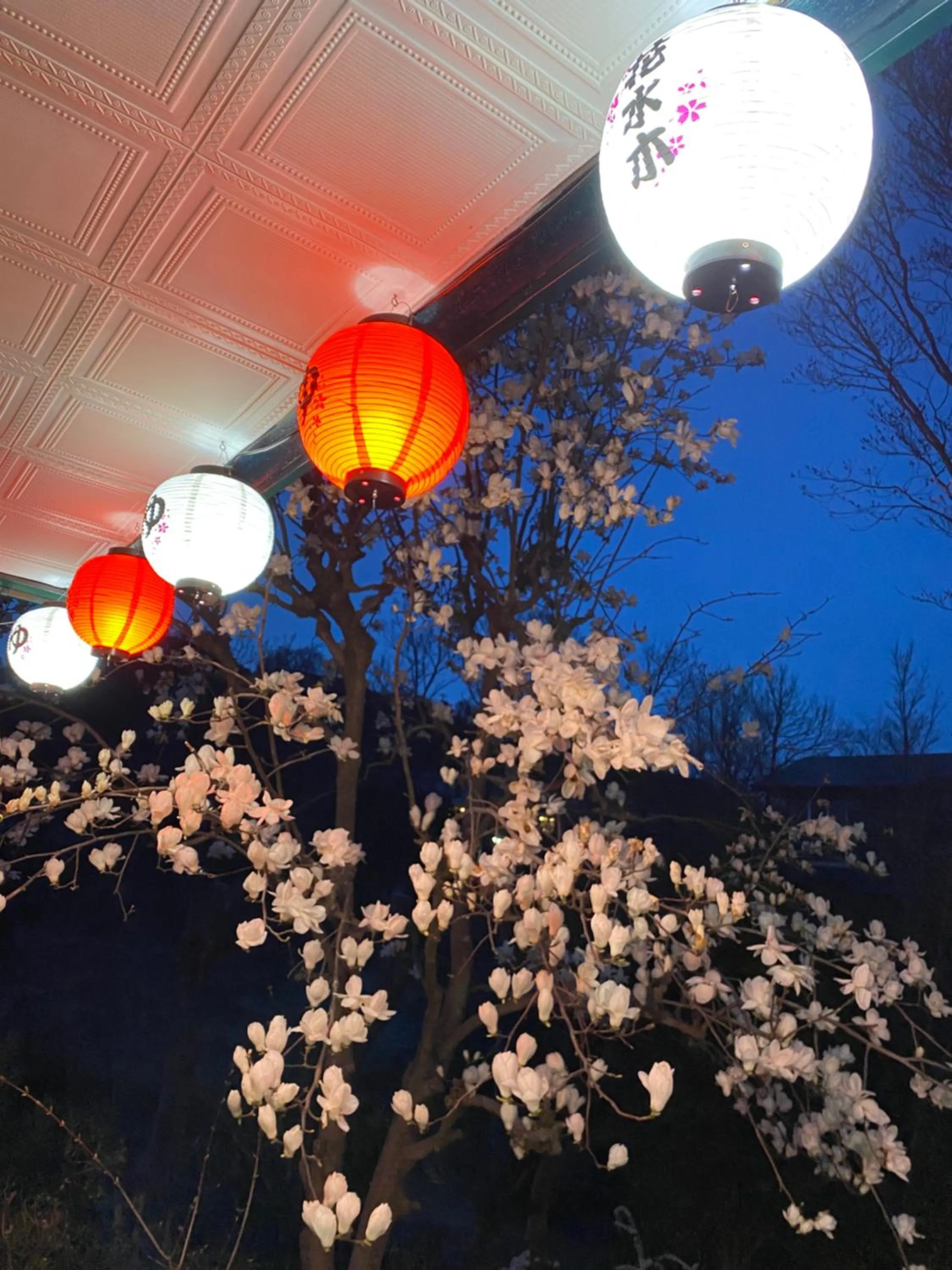 Facade/entrance in Hanamizuki Onsen Resort