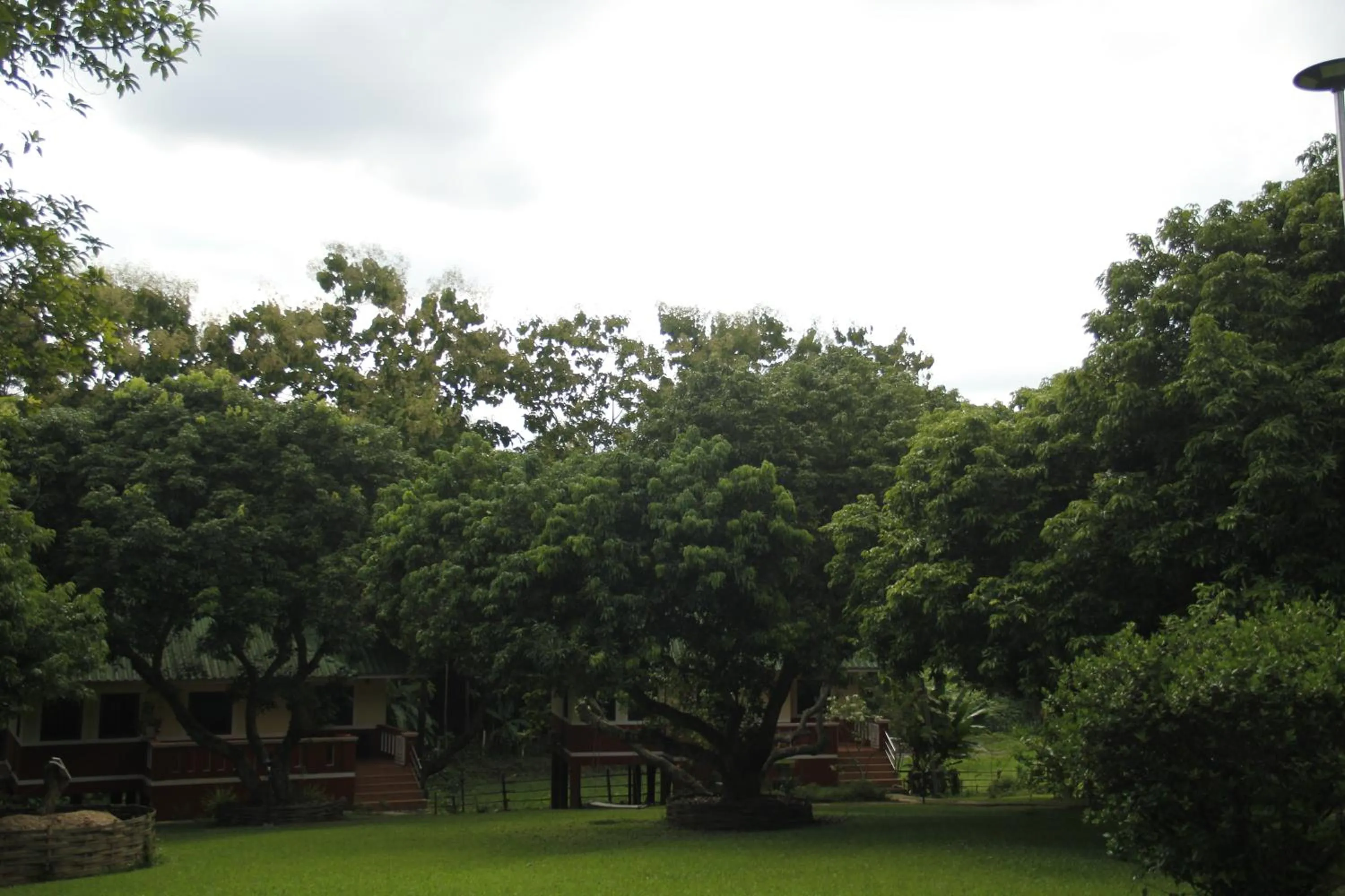 Mountain view in ViangPhing Resort