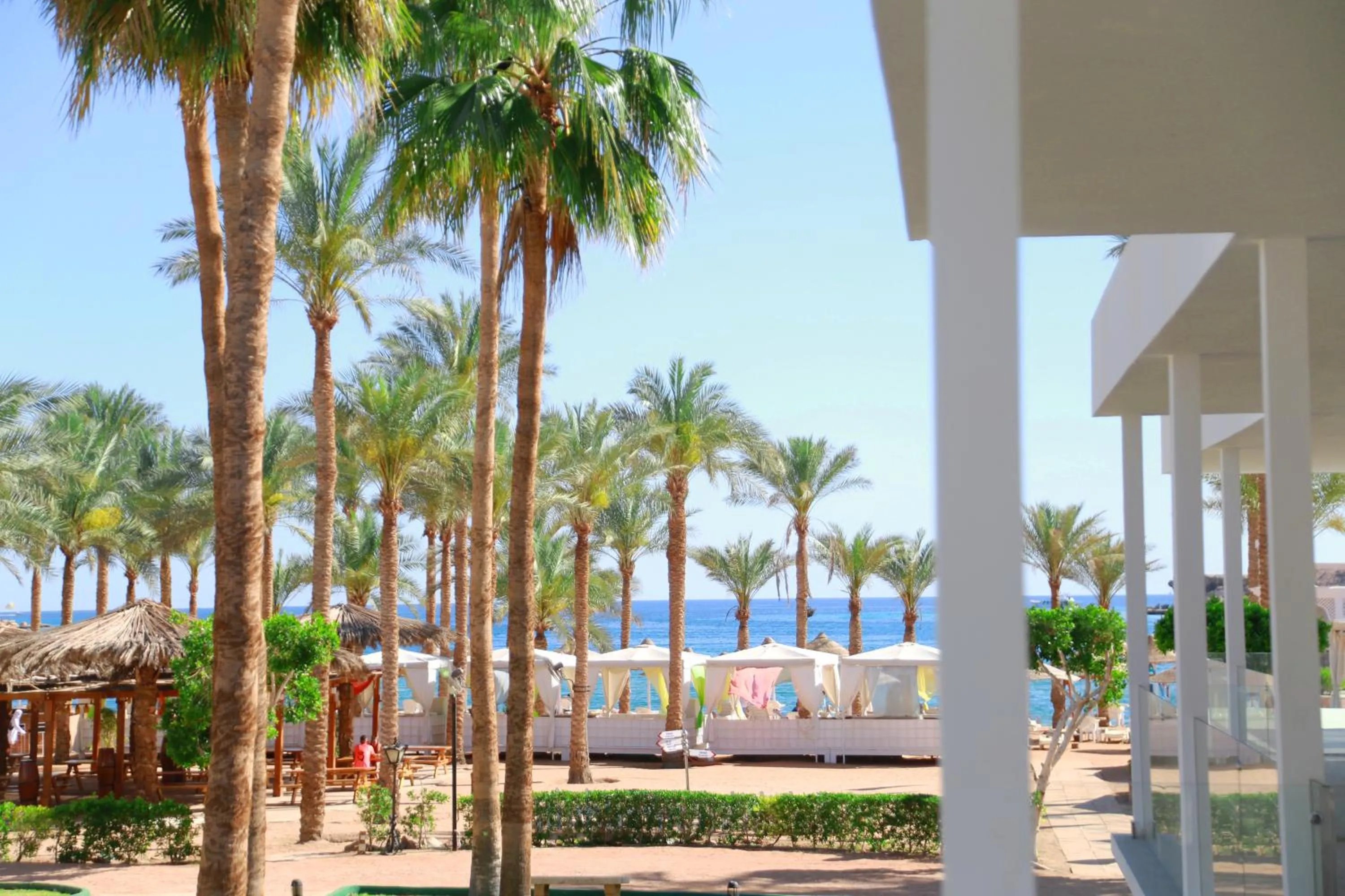 Day in Seti Sharm Palm Beach Resort Families and couples only